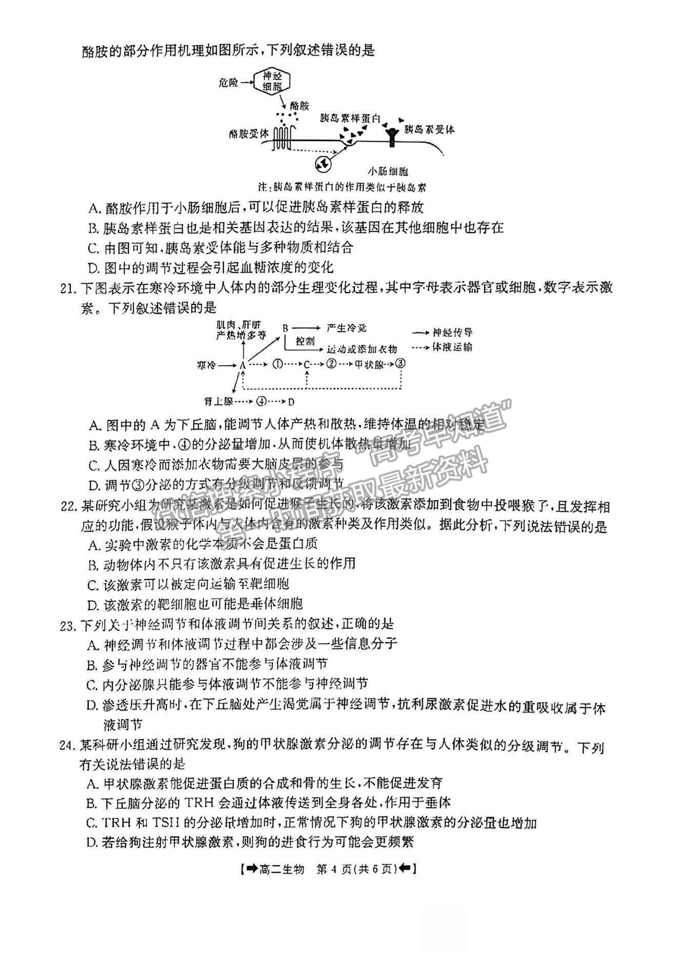 2022河南省創(chuàng)新發(fā)展聯(lián)盟高二上學(xué)期9月聯(lián)考生物試題及參考答案