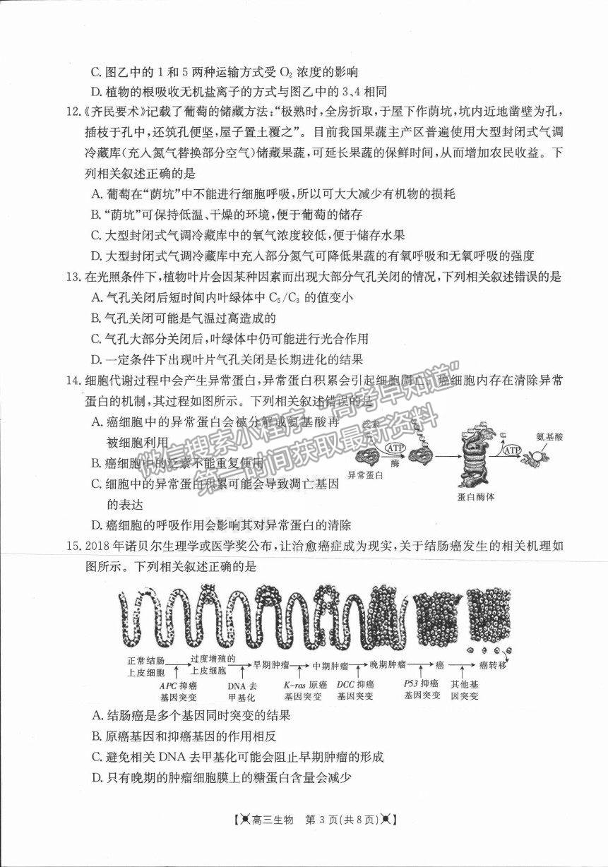 2022河南省高三上學(xué)期調(diào)研考試（三）生物試題及參考答案