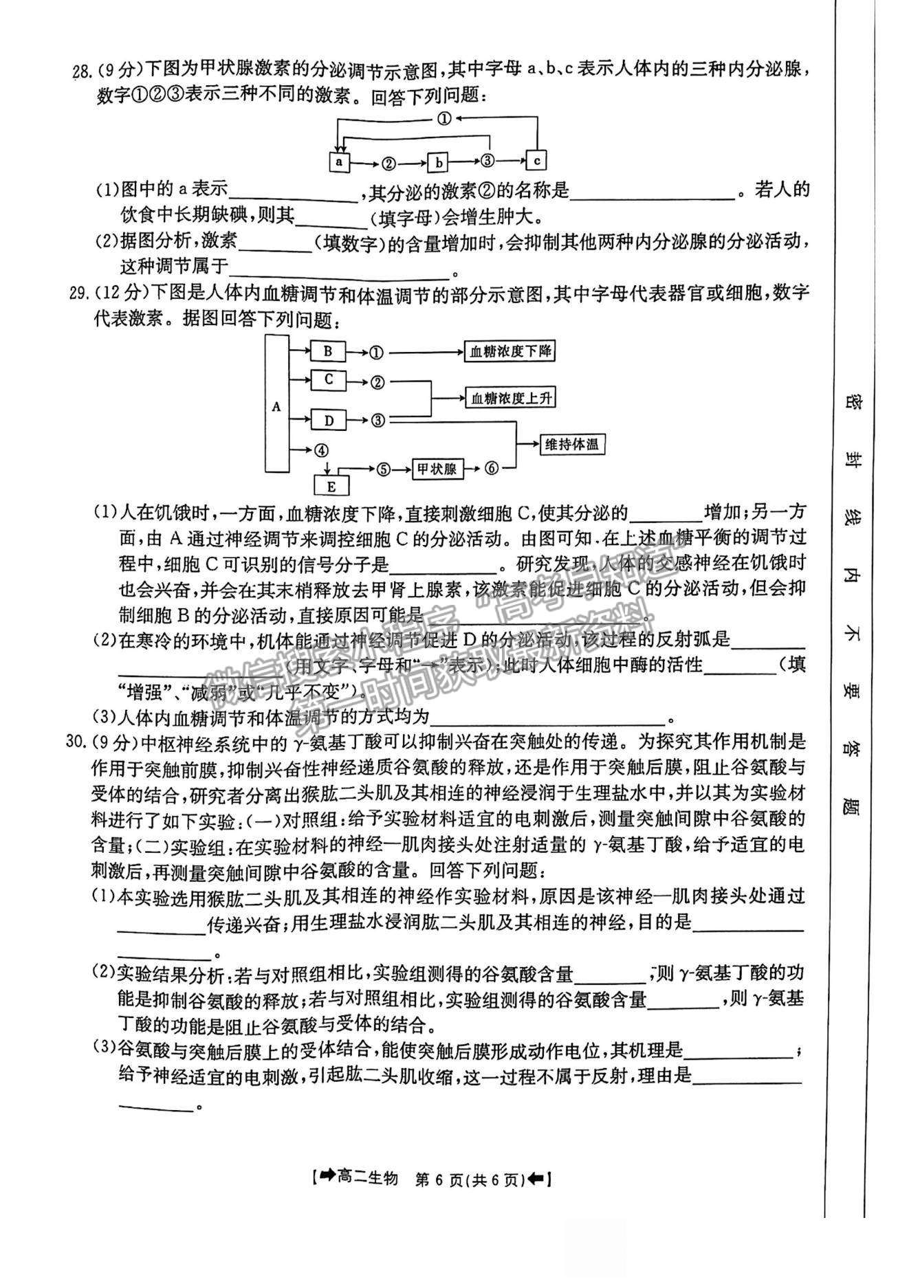 2022河南省創(chuàng)新發(fā)展聯(lián)盟高二上學(xué)期9月聯(lián)考生物試題及參考答案