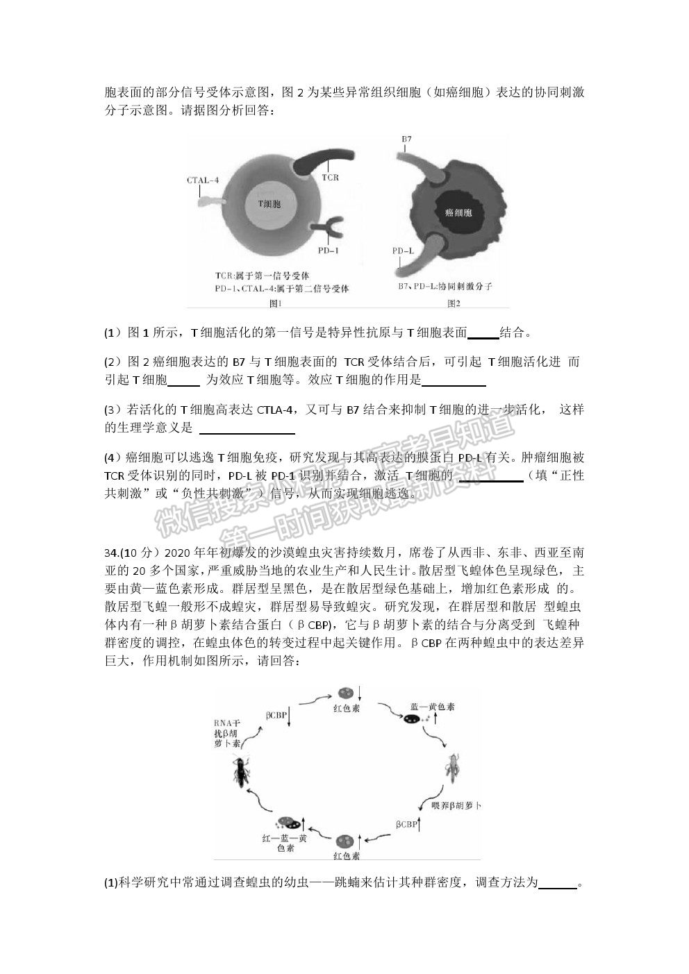 2021湖南省長沙市長郡中學(xué)高三上學(xué)期第二次月考生物試題及參考答案