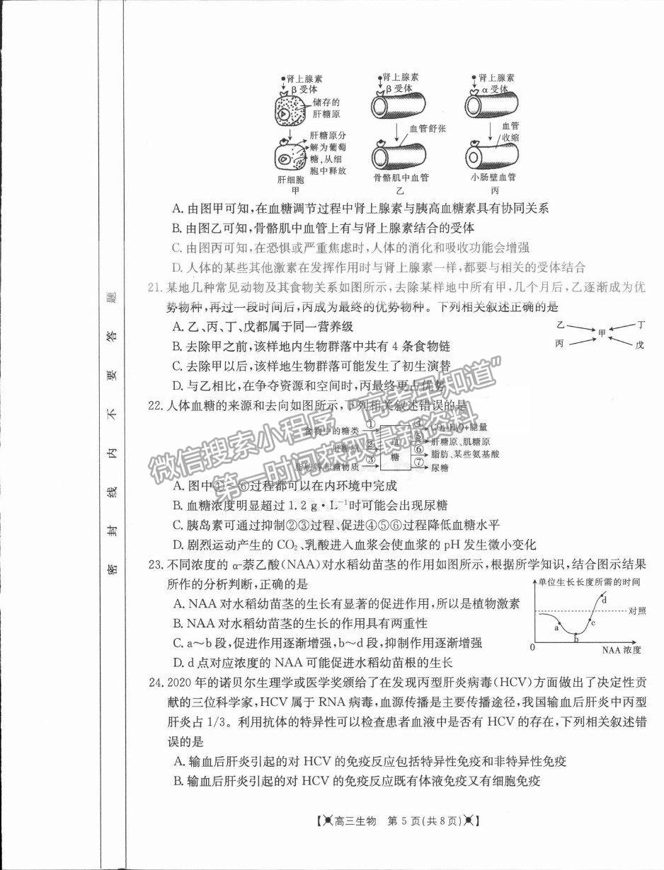 2022河南省高三上學(xué)期調(diào)研考試（三）生物試題及參考答案