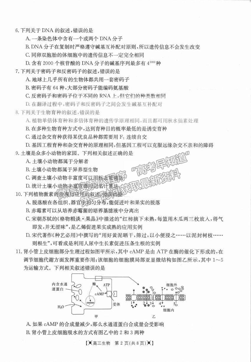 2022河南省高三上學(xué)期調(diào)研考試（三）生物試題及參考答案