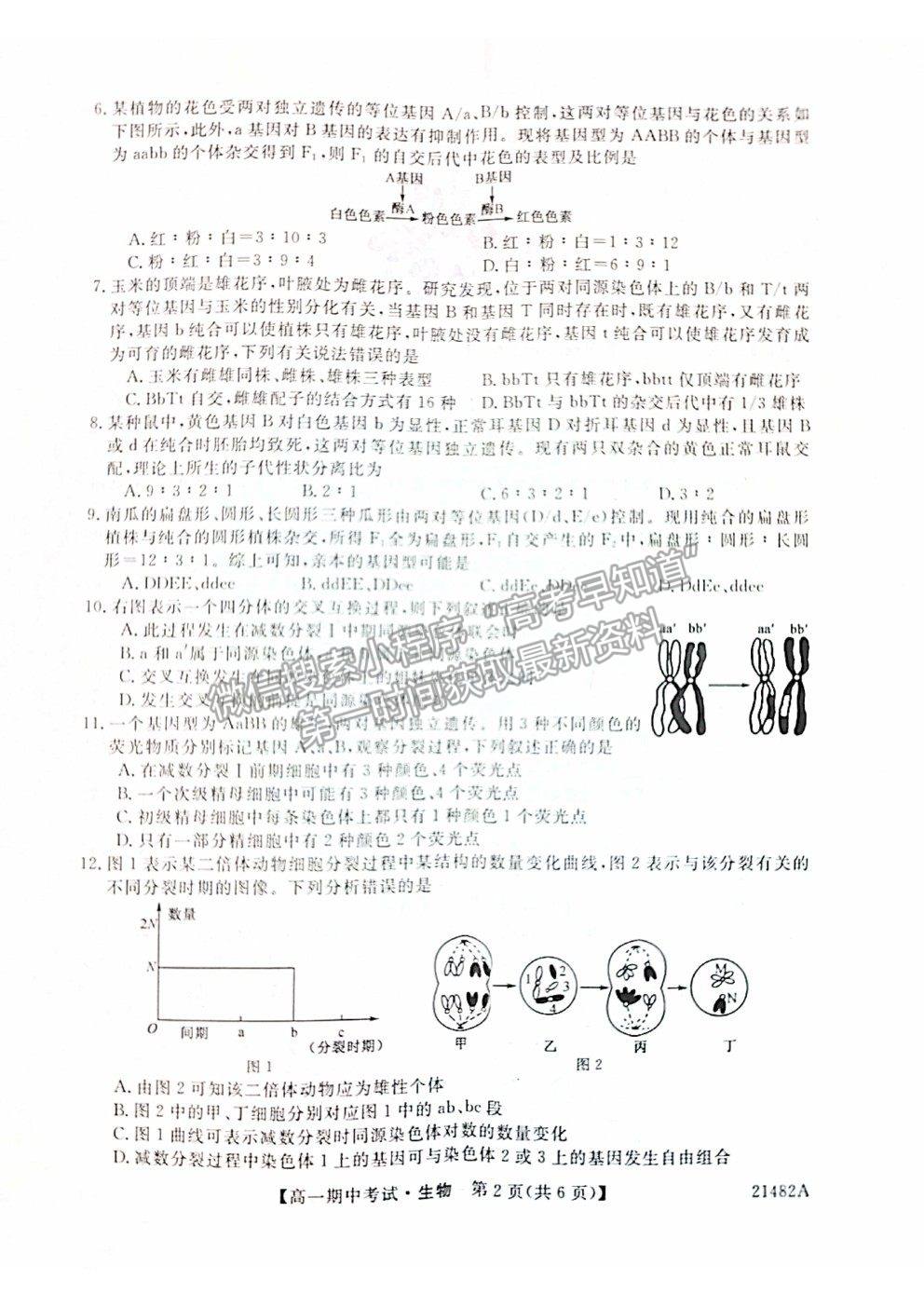 2021山西省大同市靈丘一中、廣靈一中高一下學(xué)期期中聯(lián)考生物試題及參考答案