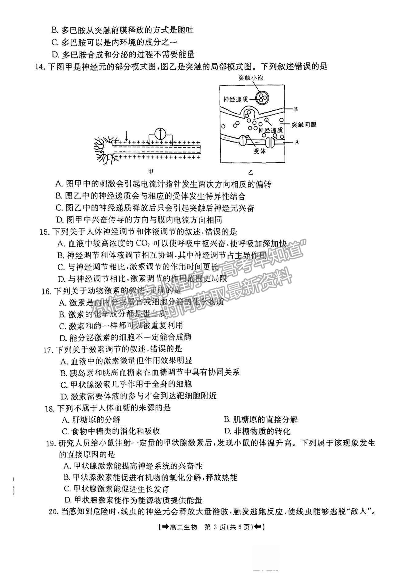 2022河南省創(chuàng)新發(fā)展聯(lián)盟高二上學(xué)期9月聯(lián)考生物試題及參考答案