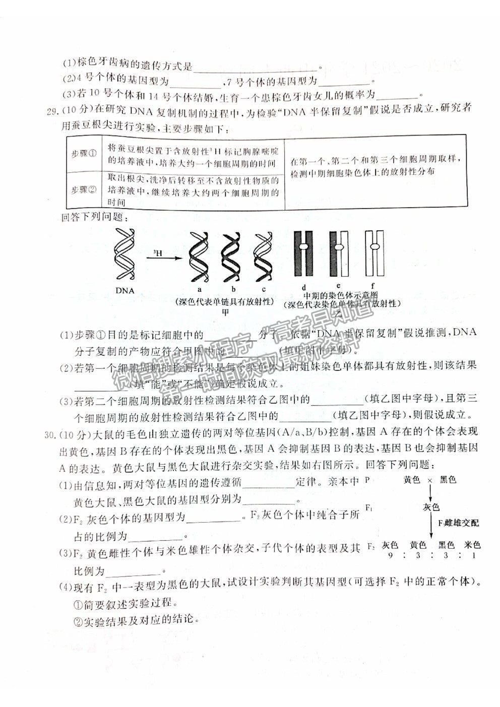 2021山西省大同市靈丘一中、廣靈一中高一下學(xué)期期中聯(lián)考生物試題及參考答案