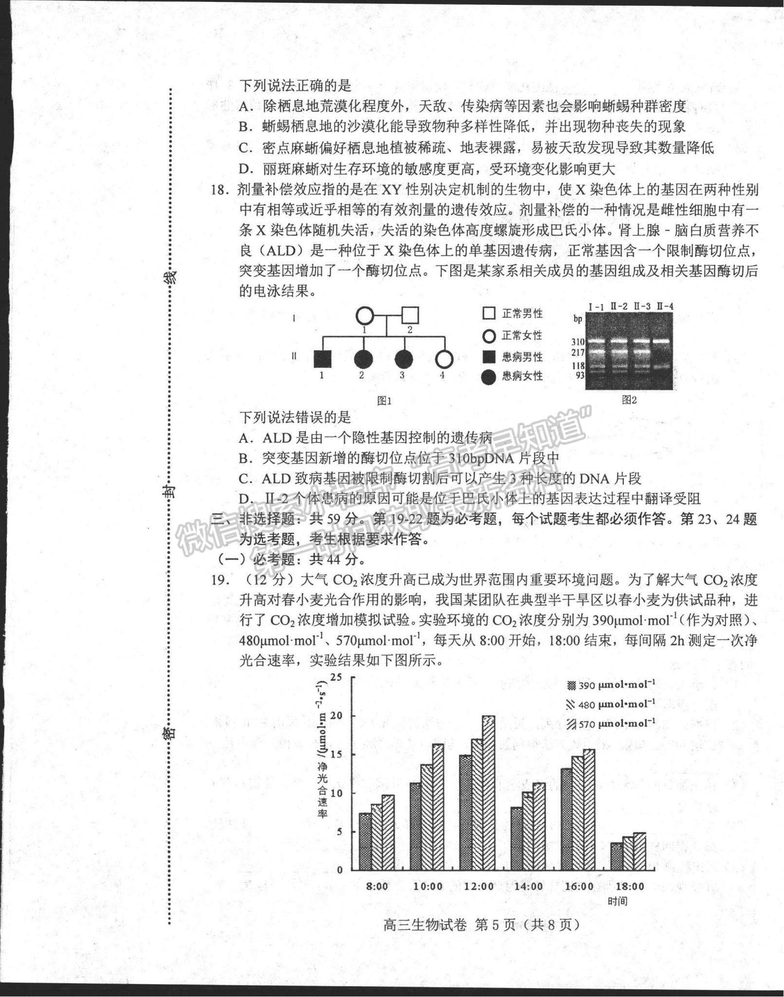 2022河北省唐山市高三上學(xué)期開學(xué)摸底考試生物試題及參考答案