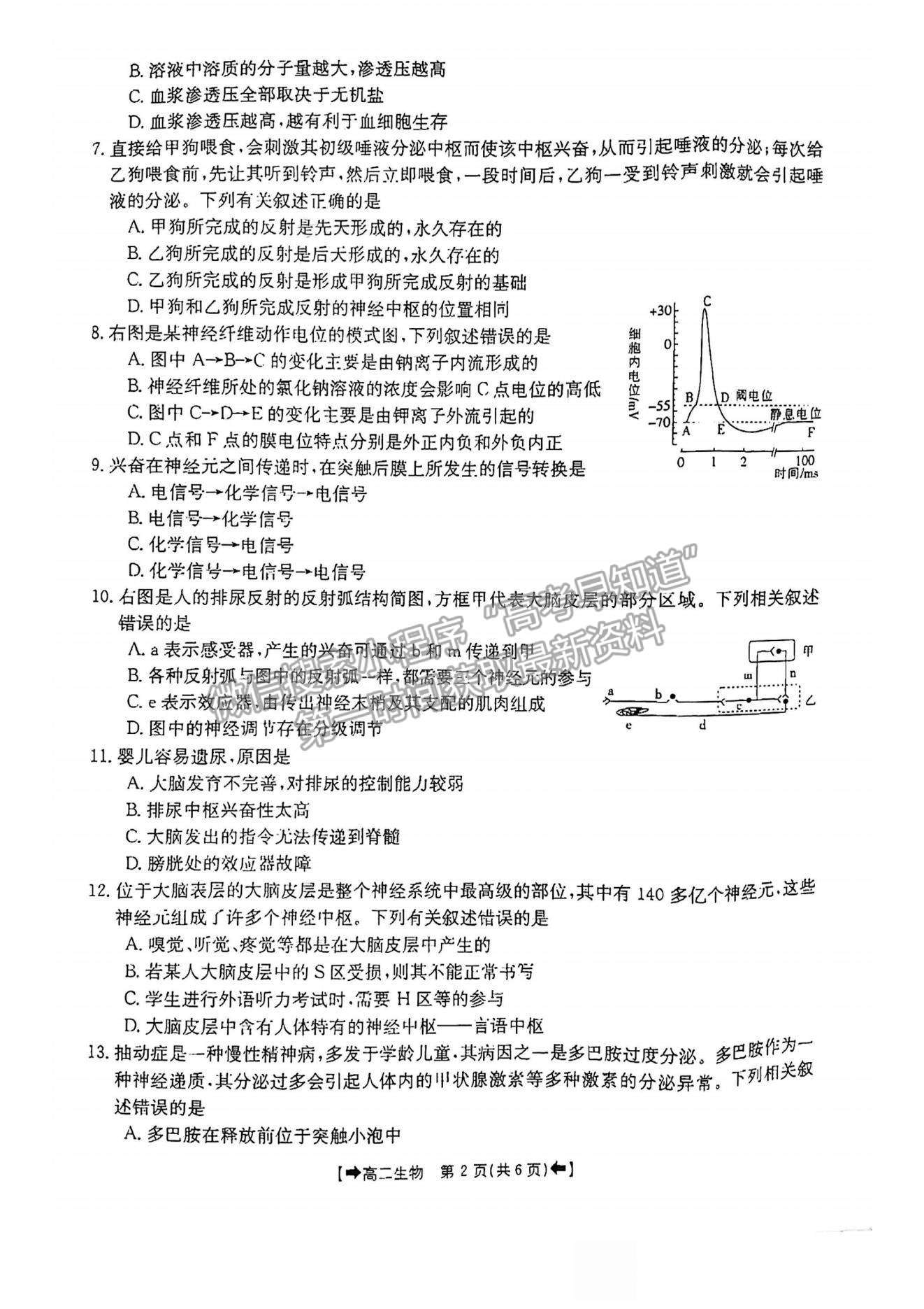 2022河南省創(chuàng)新發(fā)展聯(lián)盟高二上學期9月聯(lián)考生物試題及參考答案