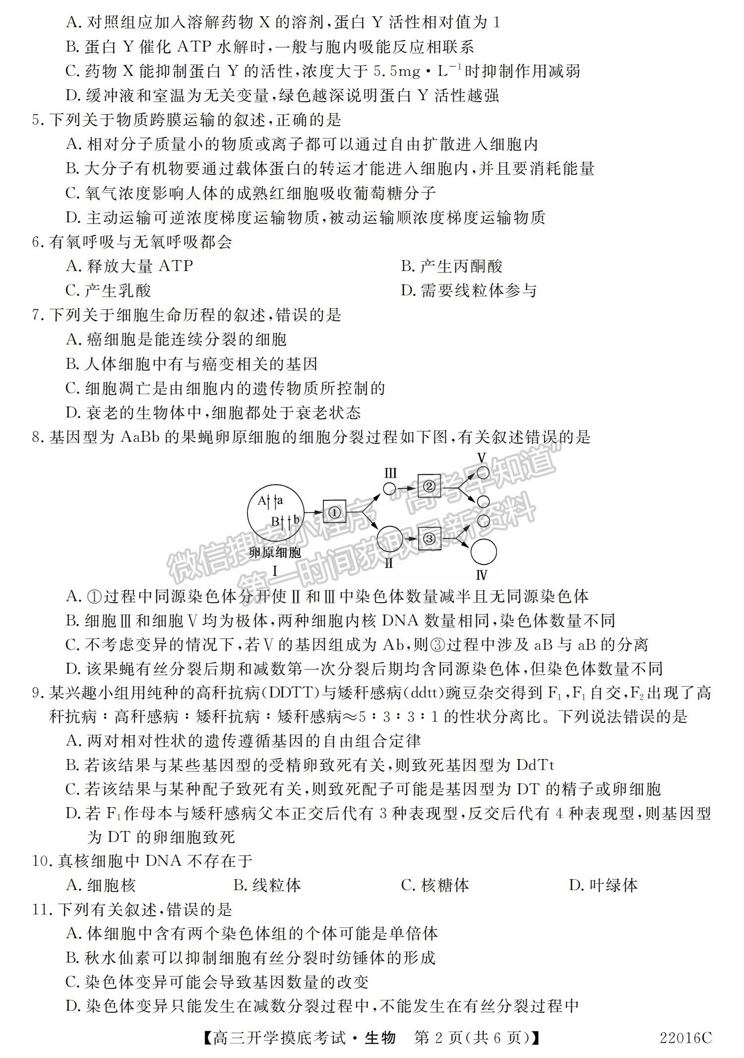 2022青海省大通縣教學研究室高三開學摸底考試（角標：22016C）生物試卷及答案