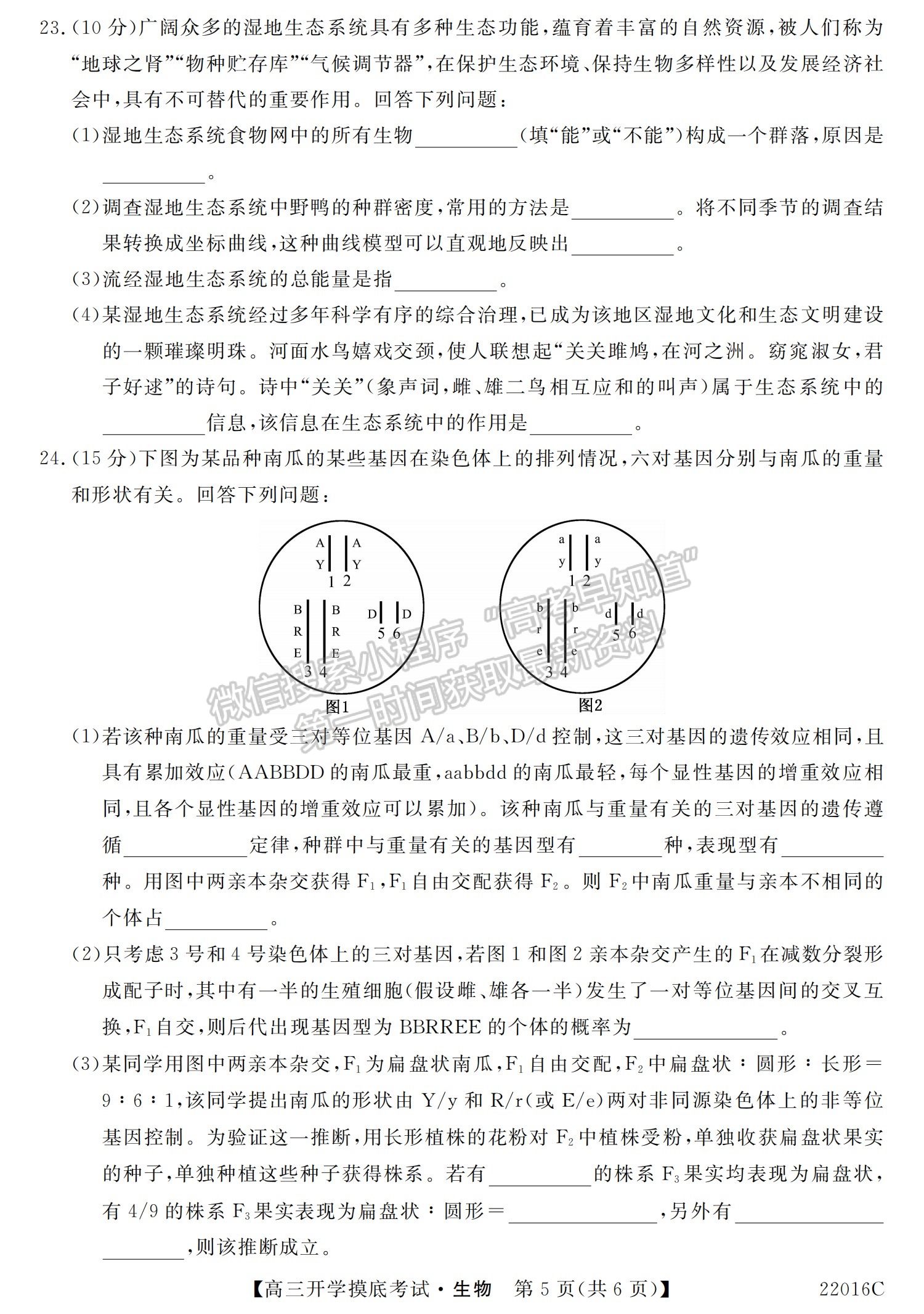 2022青海省大通縣教學(xué)研究室高三開學(xué)摸底考試（角標(biāo)：22016C）生物試卷及答案