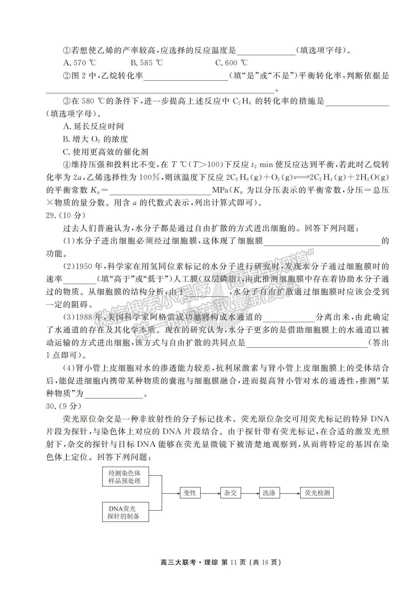 2022衡水金卷·西南四省名校高三第一次大聯(lián)考理綜試題及參考答案