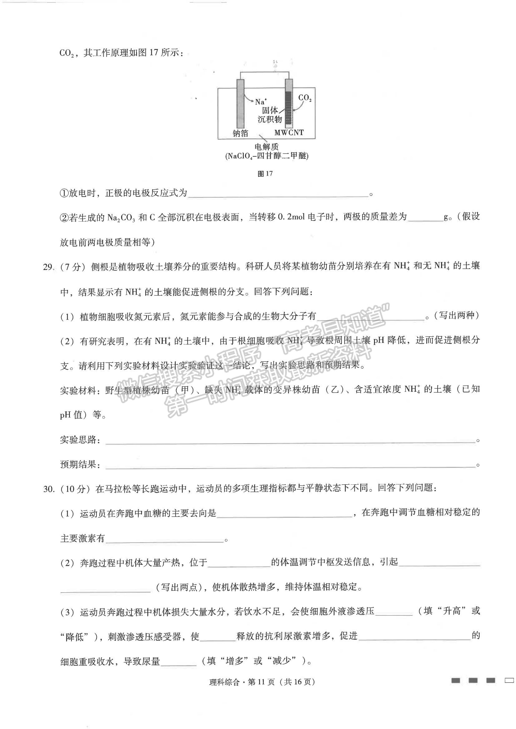 2022云師大附中高三高考適應(yīng)性月考卷（三）理綜試卷及答案