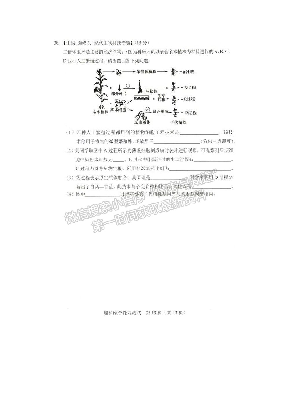 2021長春市高三質量監(jiān)測（四）理綜試題及參考答案