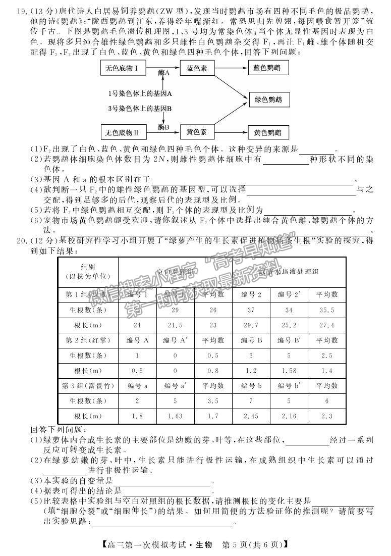 2022湖南省湘潭市高三第一次模擬考試生物試題及參考答案