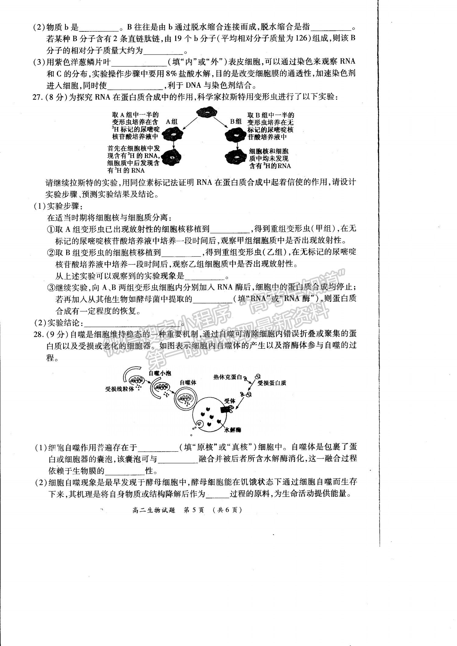 2021洛陽豫西名校高二期末生物試題及參考答案