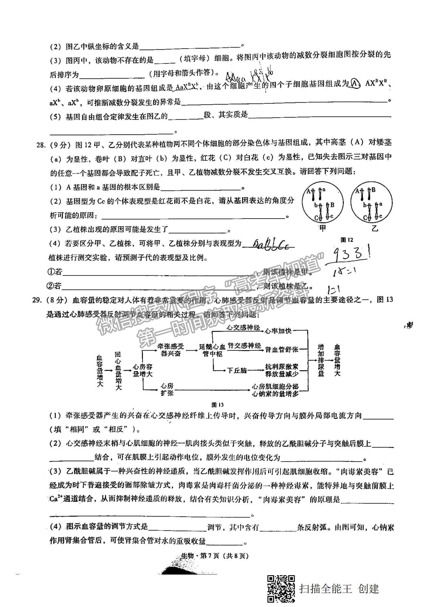 2022西南名師聯(lián)盟高三9月聯(lián)考生物試題及參考答案