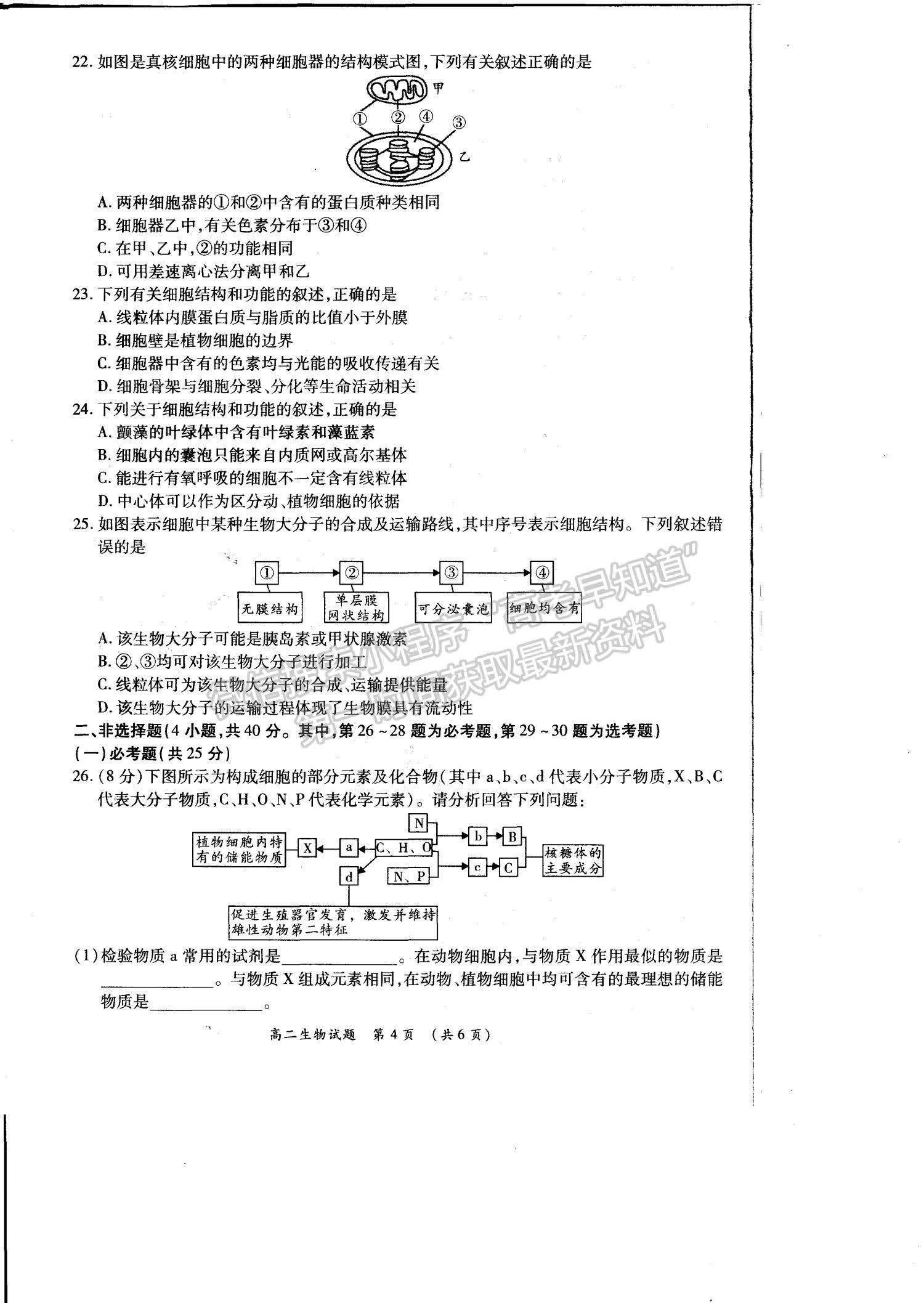 2021洛陽豫西名校高二期末生物試題及參考答案