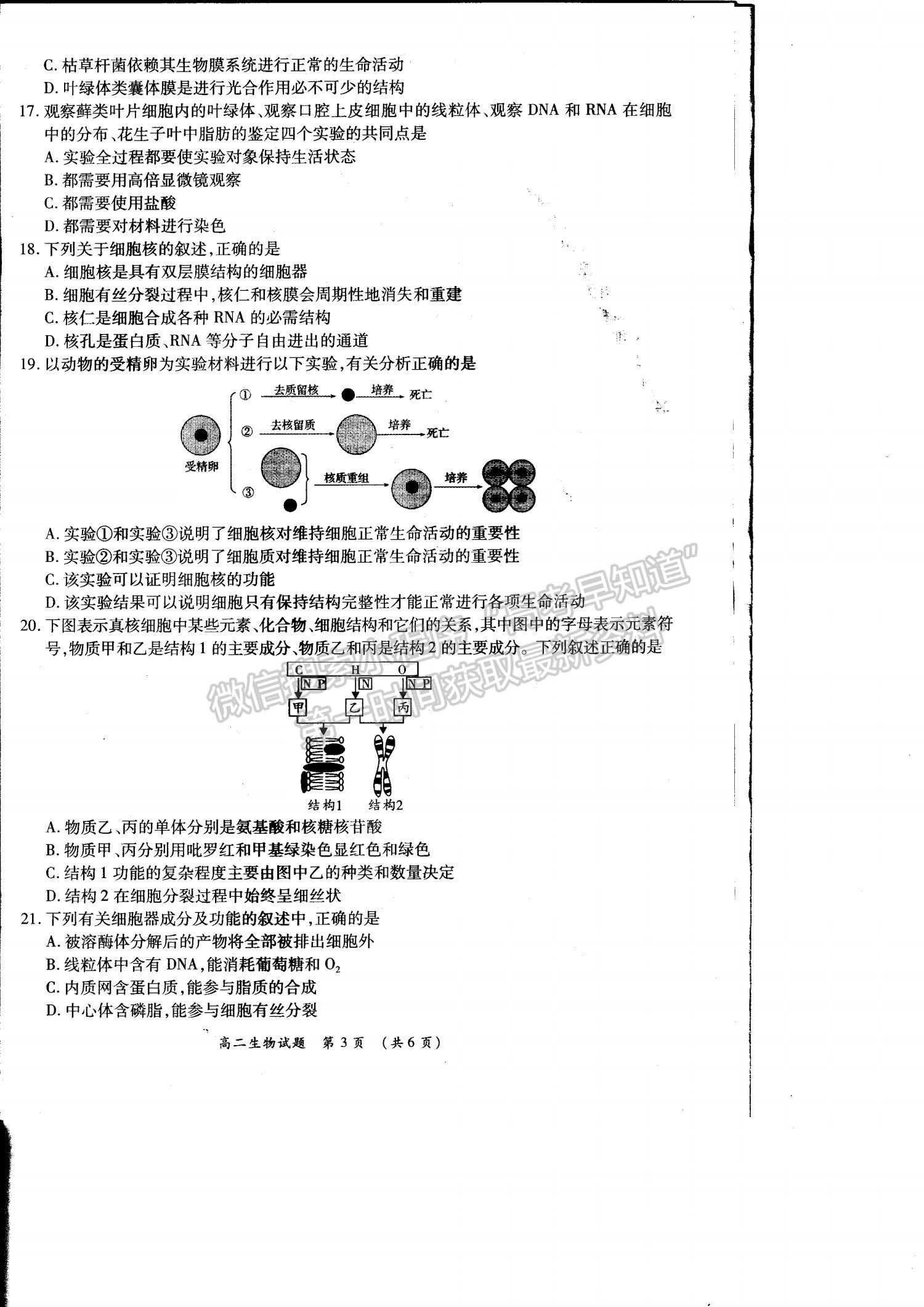 2021洛陽(yáng)豫西名校高二期末生物試題及參考答案