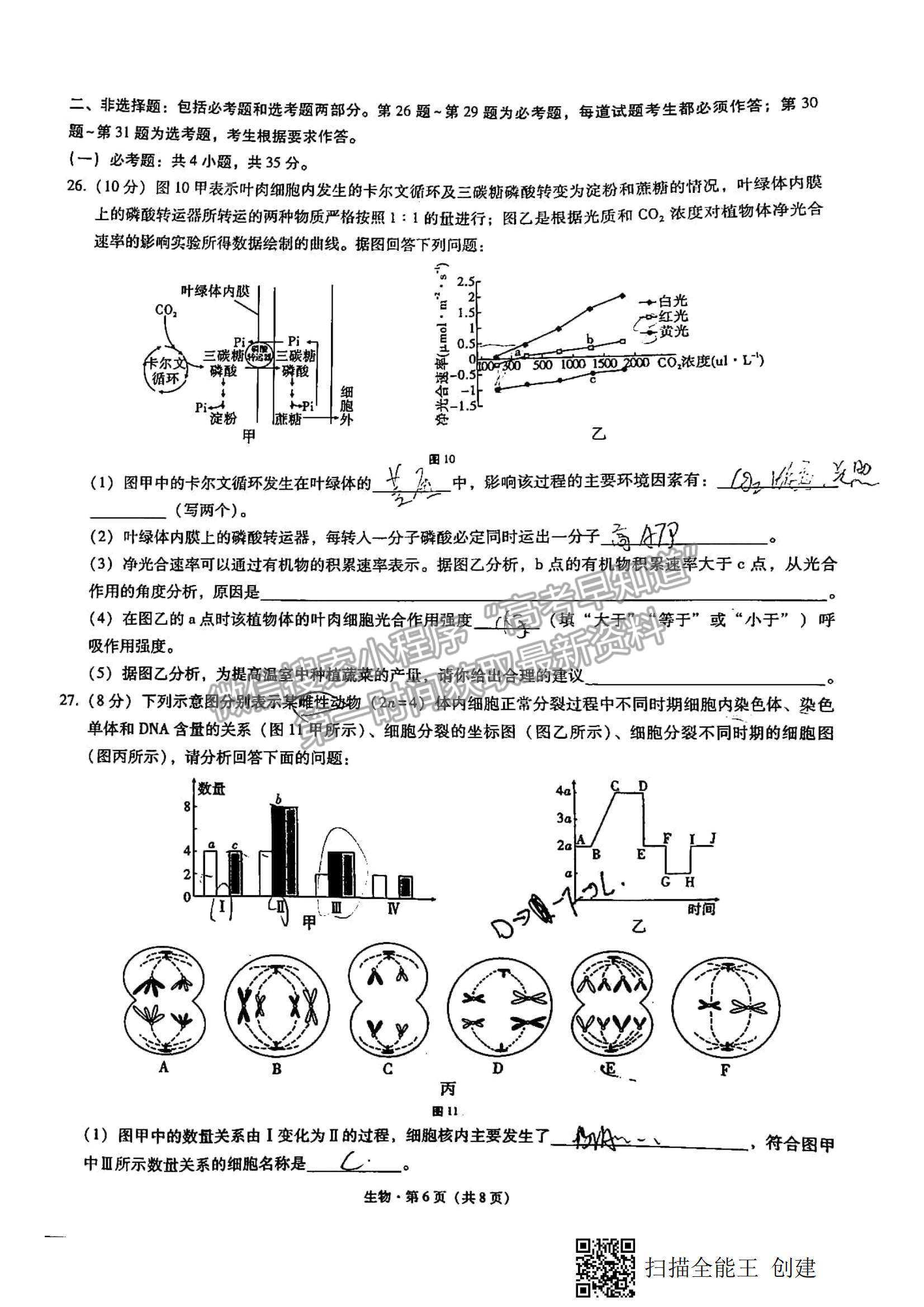 2022西南名師聯(lián)盟高三9月聯(lián)考生物試題及參考答案