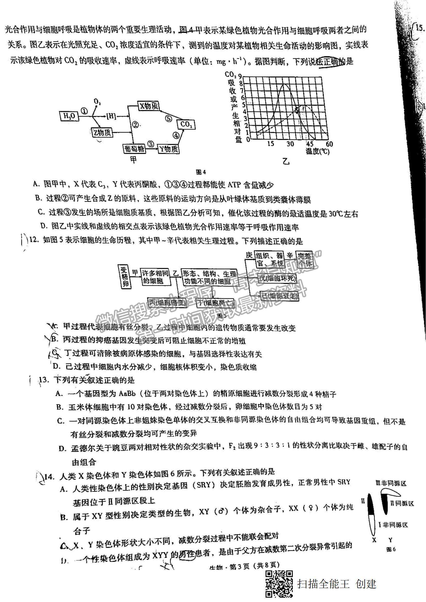 2022西南名師聯(lián)盟高三9月聯(lián)考生物試題及參考答案