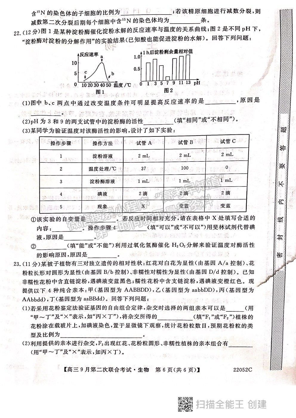 2022河北邢臺(tái)市高三9月第二次聯(lián)合考試（22052C）生物試題及參考答案