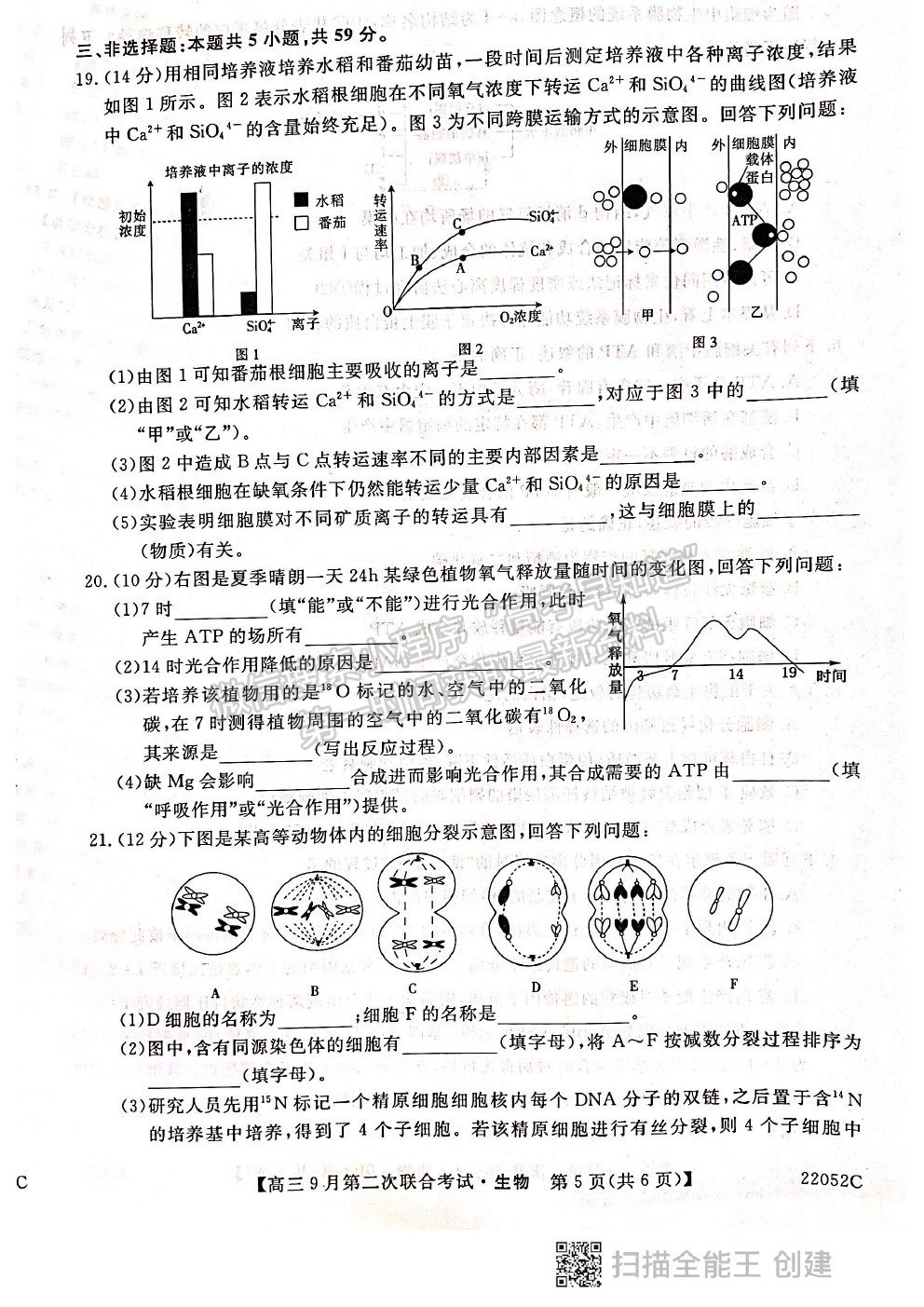 2022河北邢臺(tái)市高三9月第二次聯(lián)合考試（22052C）生物試題及參考答案