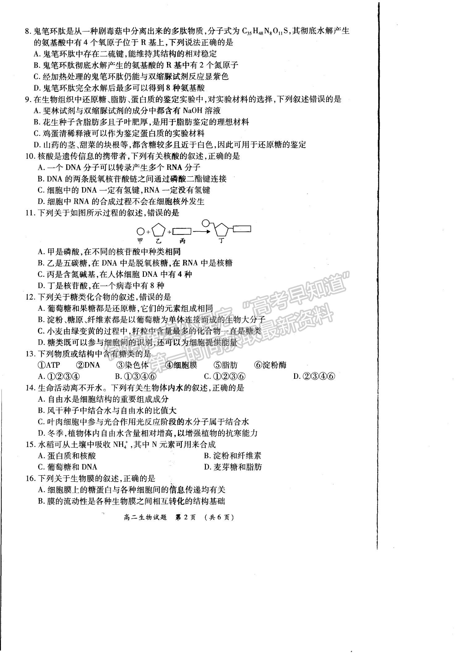 2021洛陽豫西名校高二期末生物試題及參考答案