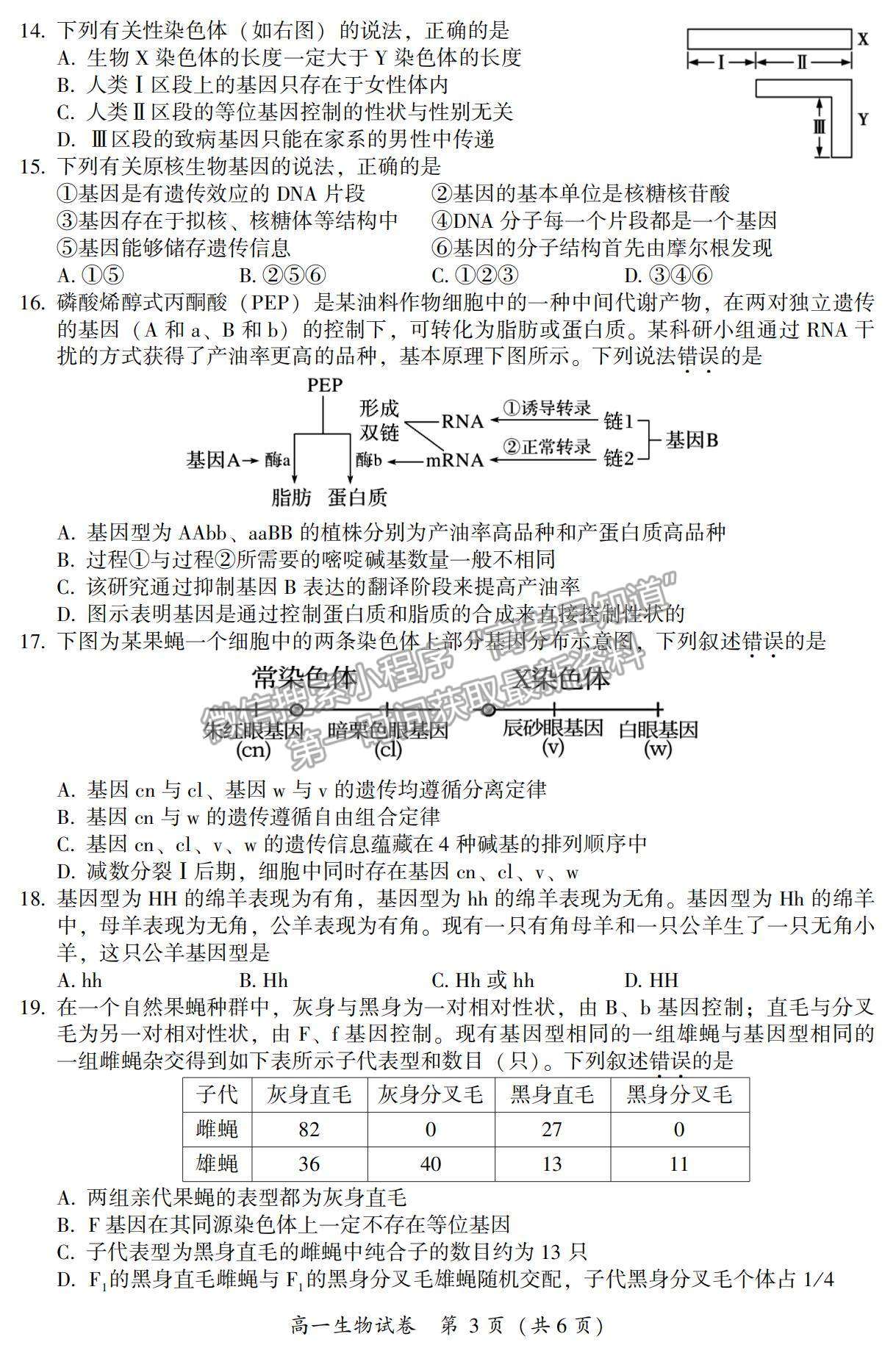 2021漳州市高一下學期期末質檢生物試題及參考答案