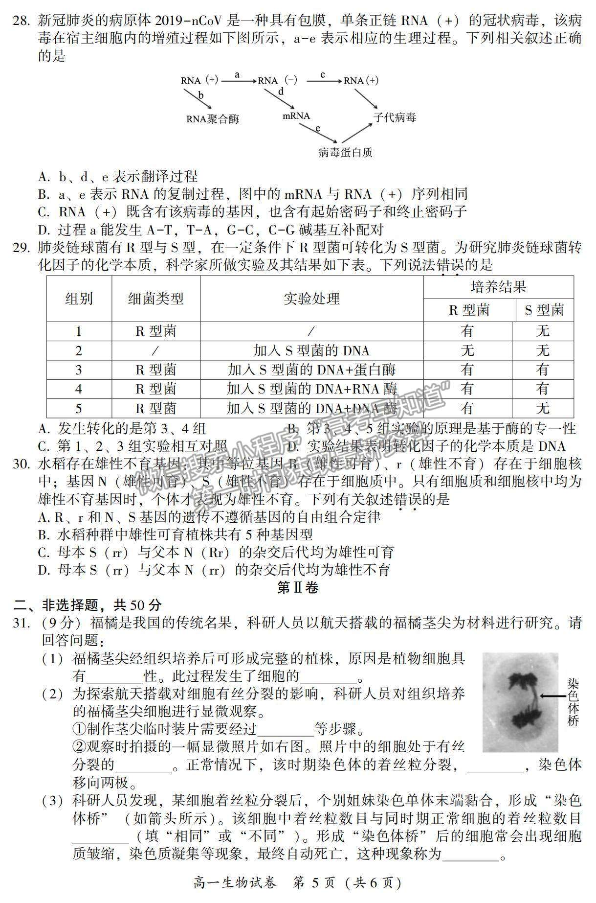 2021漳州市高一下學期期末質檢生物試題及參考答案