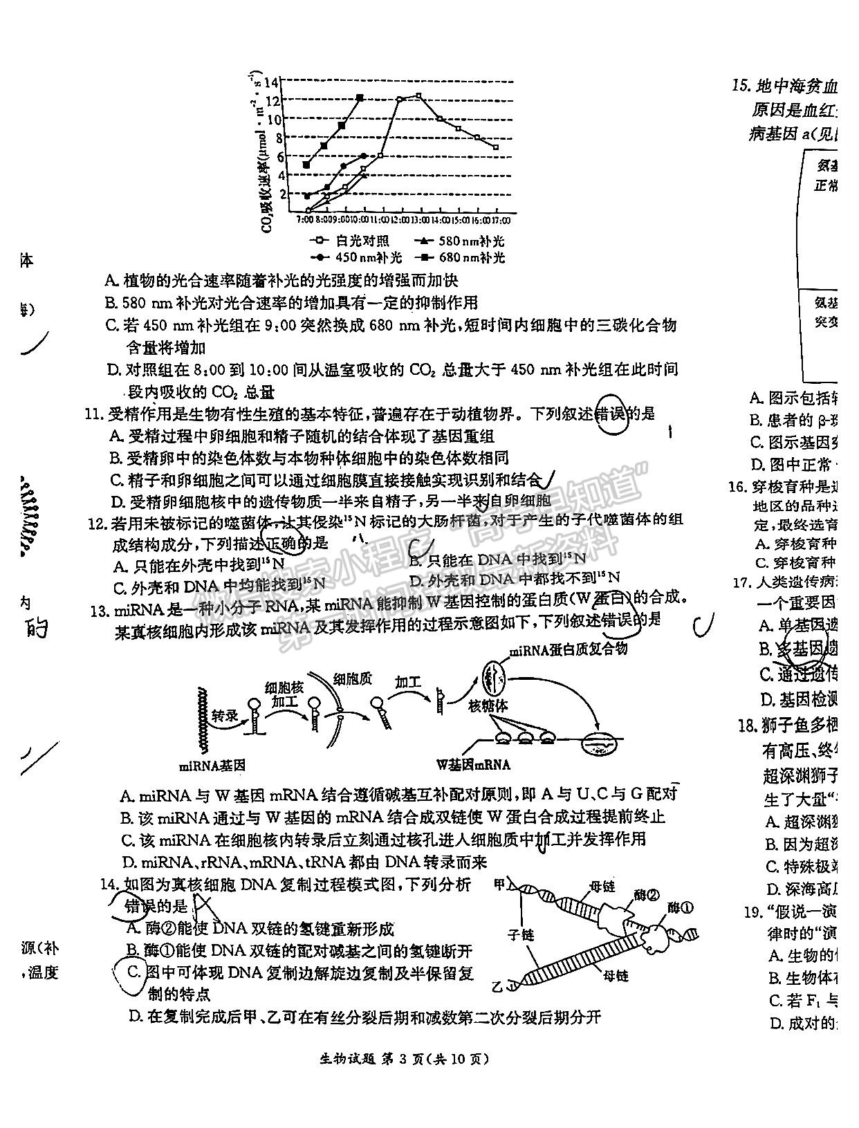 2022屆江西省紅色七校第一次聯(lián)考生物試卷及答案