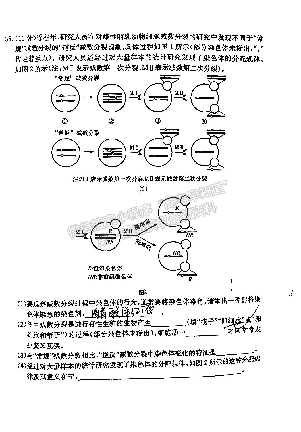 2022屆江西省紅色七校第一次聯(lián)考生物試卷及答案