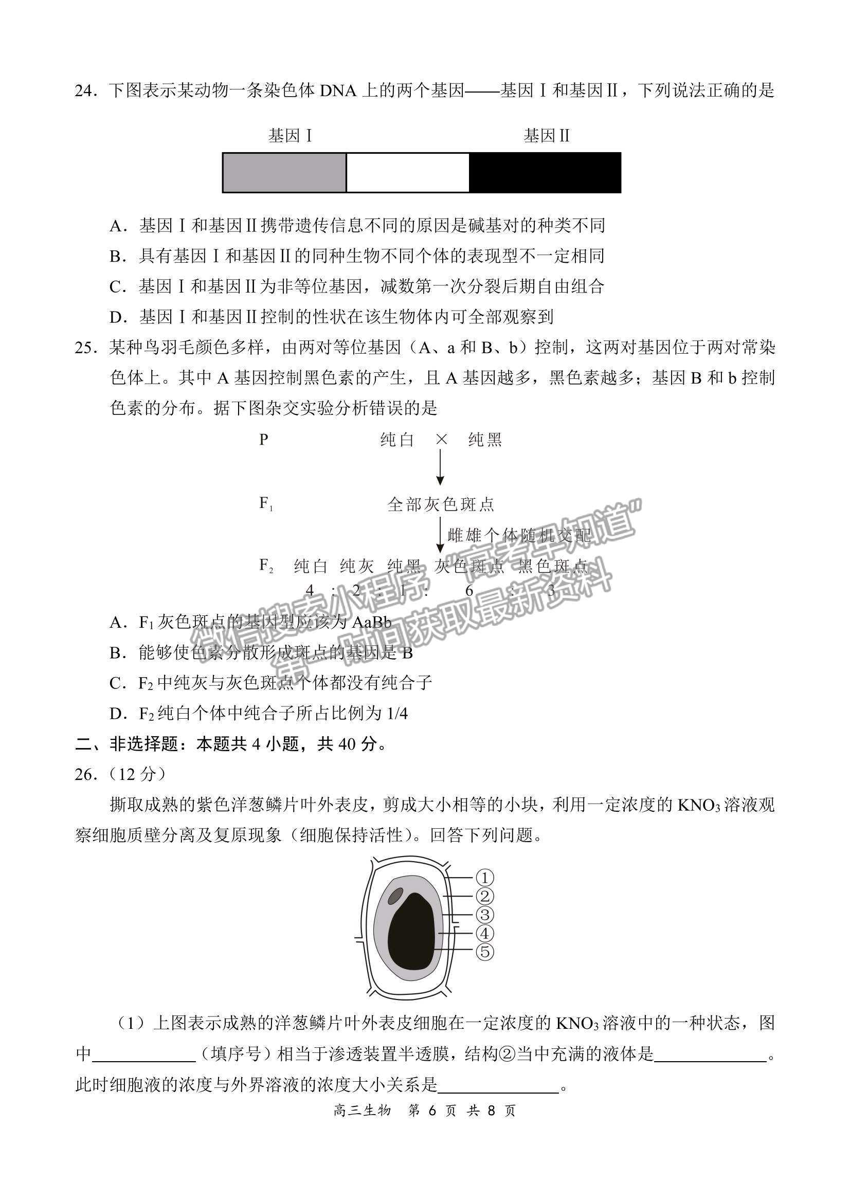 2022全國(guó)百?gòu)?qiáng)校領(lǐng)軍考試高三9月聯(lián)考生物試題及參考答案