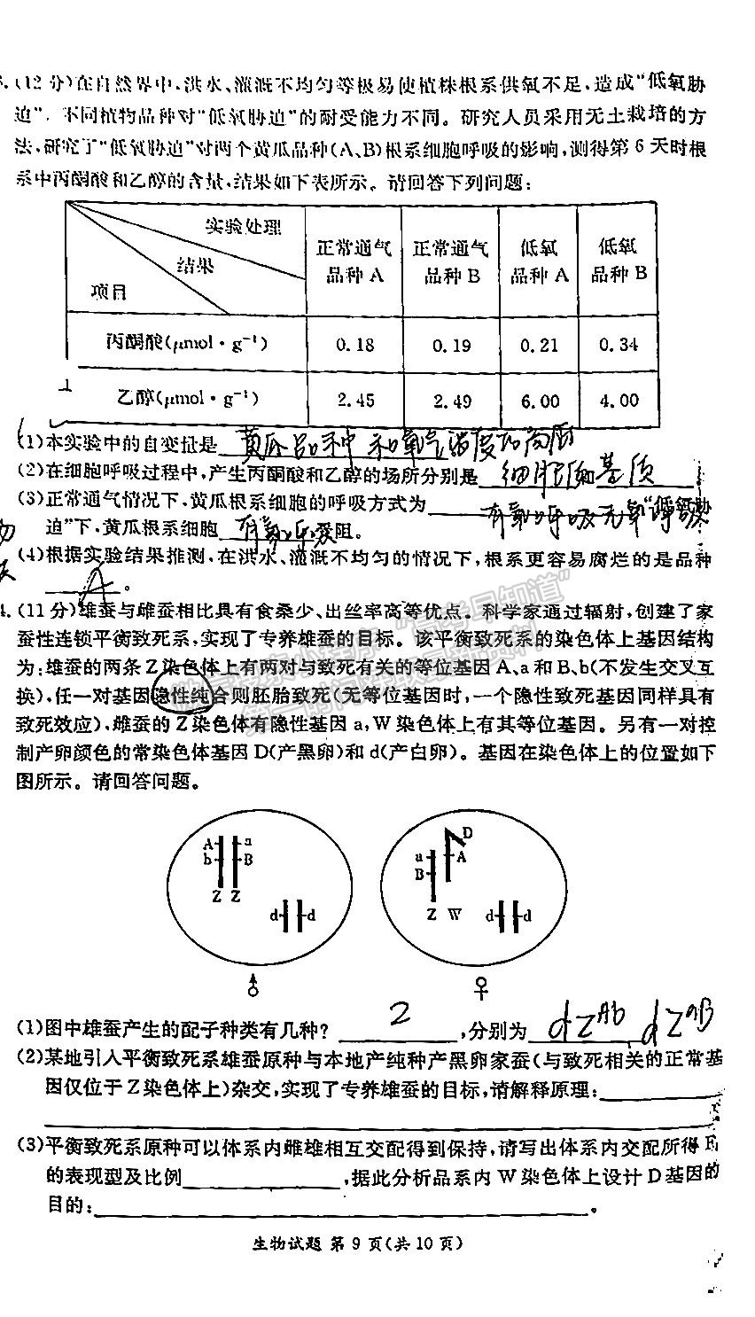 2022屆江西省紅色七校第一次聯(lián)考生物試卷及答案