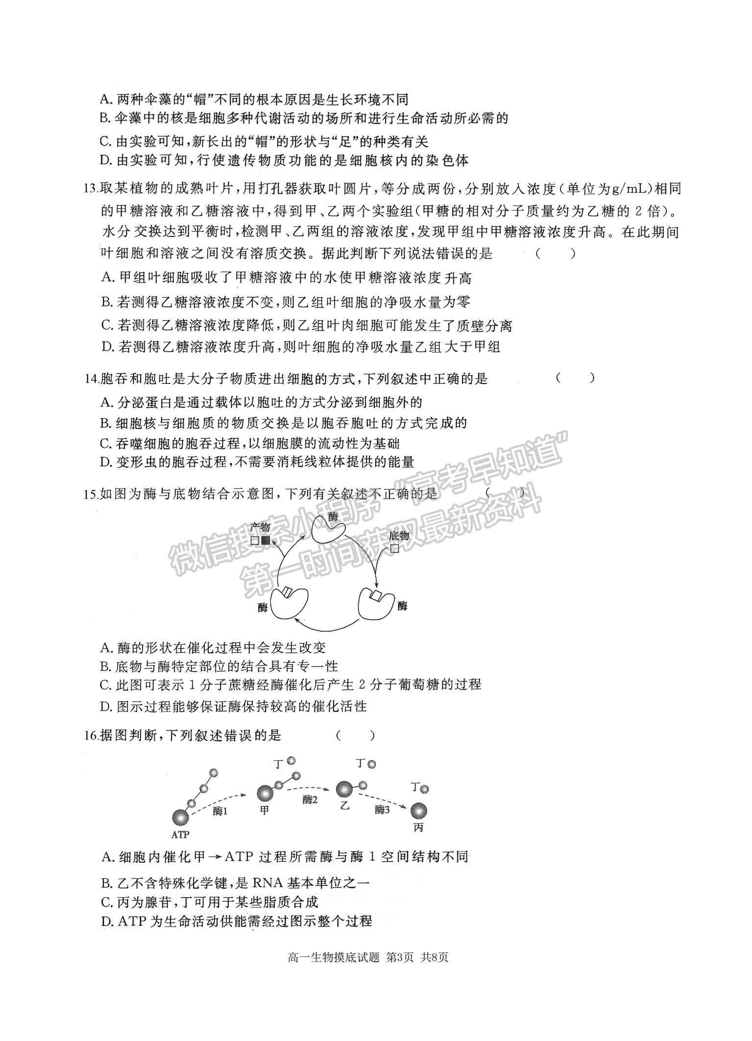 2021山西省運城市新康國際實驗學(xué)校高一下學(xué)期開學(xué)摸底考試生物試卷及參考答案