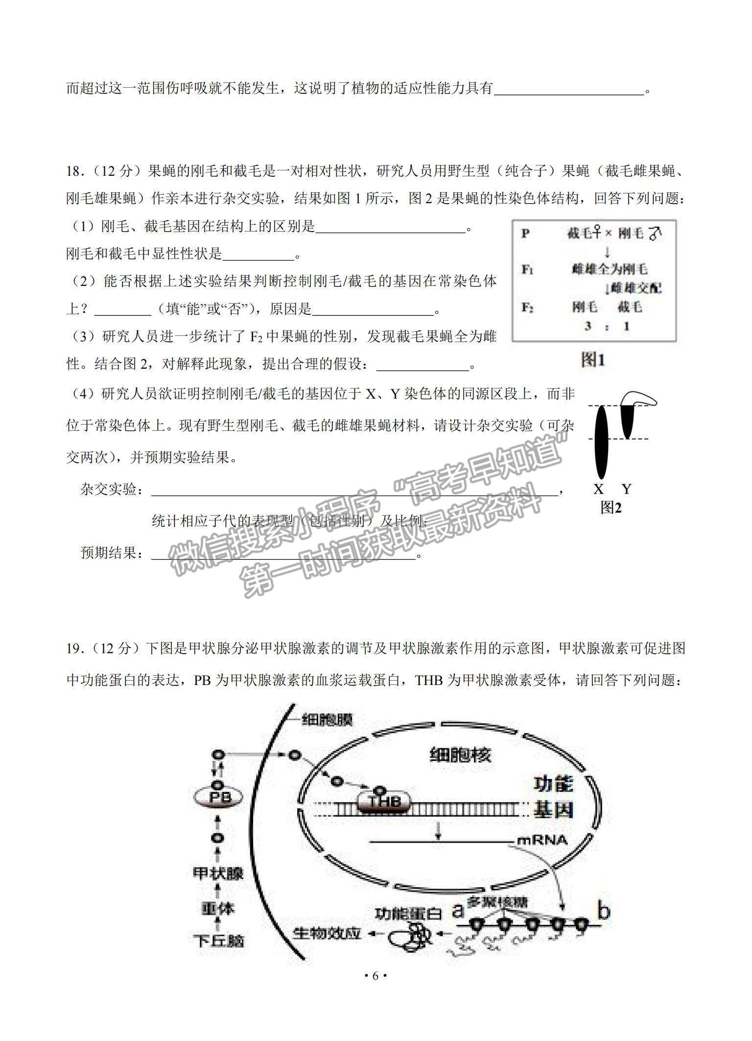 2022廣東省四校高三上學(xué)期開(kāi)學(xué)聯(lián)考生物試題及參考答案