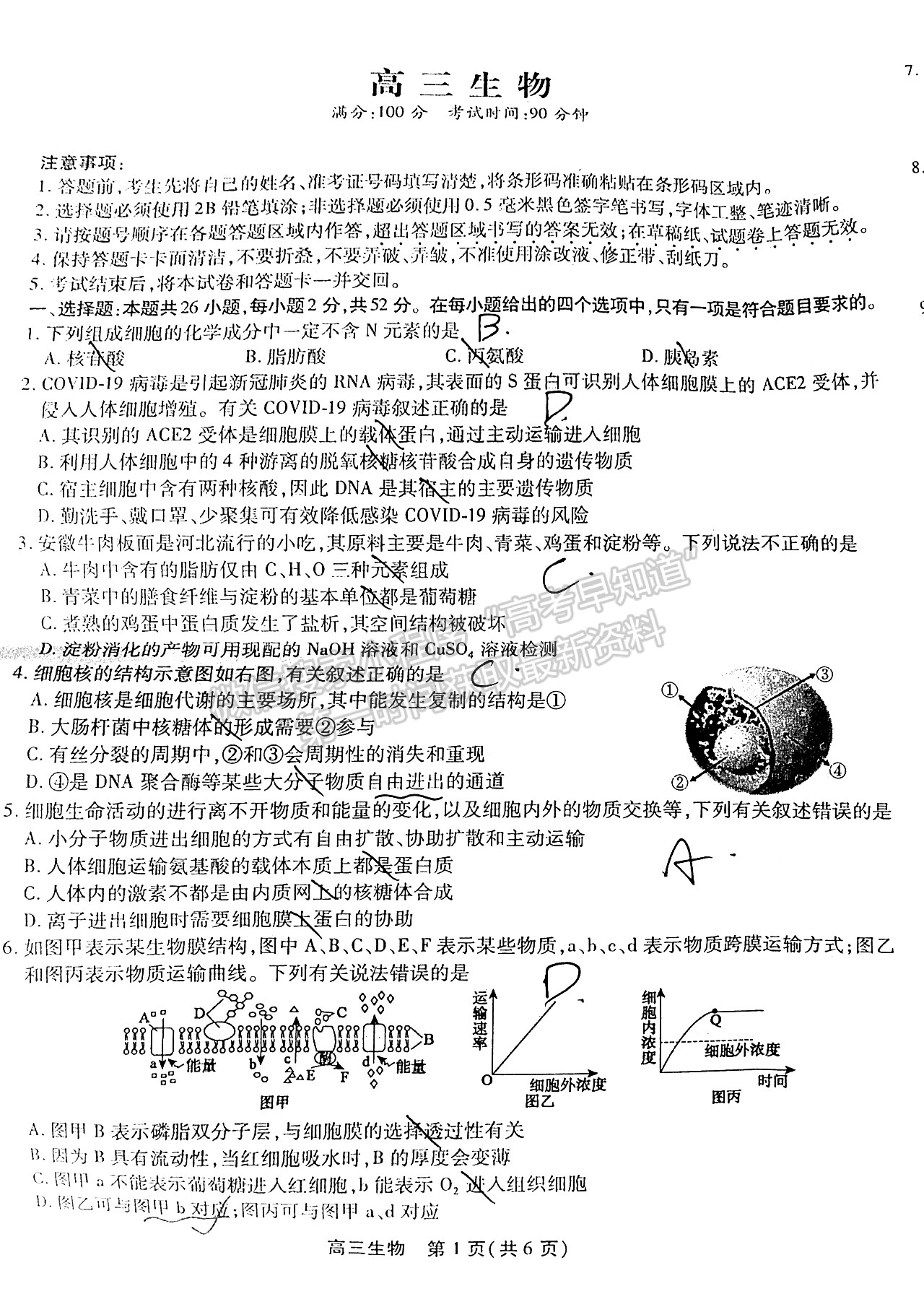 2022安徽鼎尖教育高三10月聯(lián)考生物試卷及答案