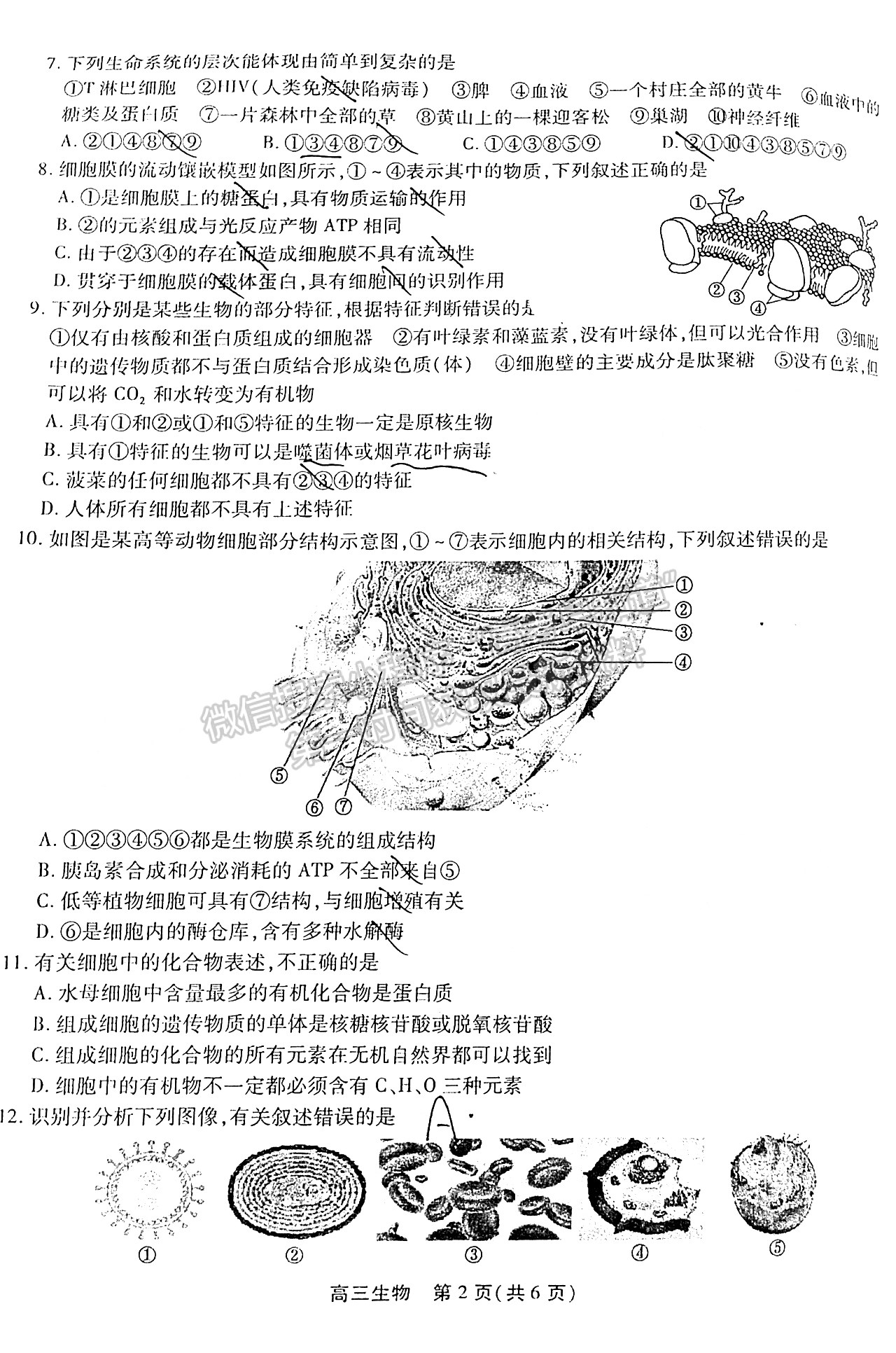 2022安徽鼎尖教育高三10月聯(lián)考生物試卷及答案