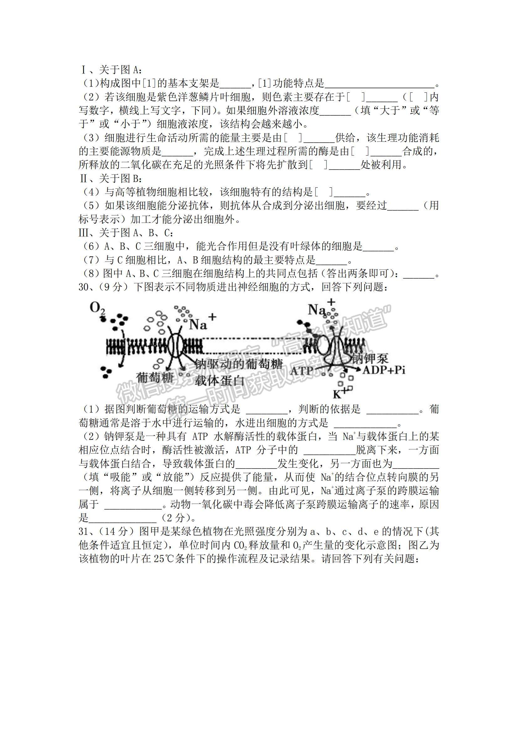 2021新疆呼圖壁縣一中高三上學(xué)期11月月考生物試題及參考答案