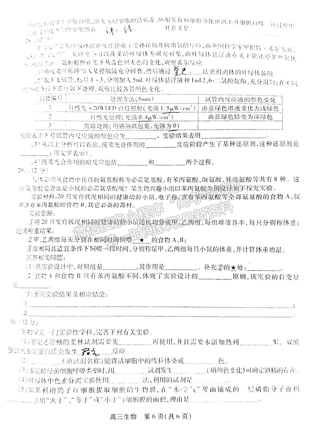 2022安徽鼎尖教育高三10月聯(lián)考生物試卷及答案