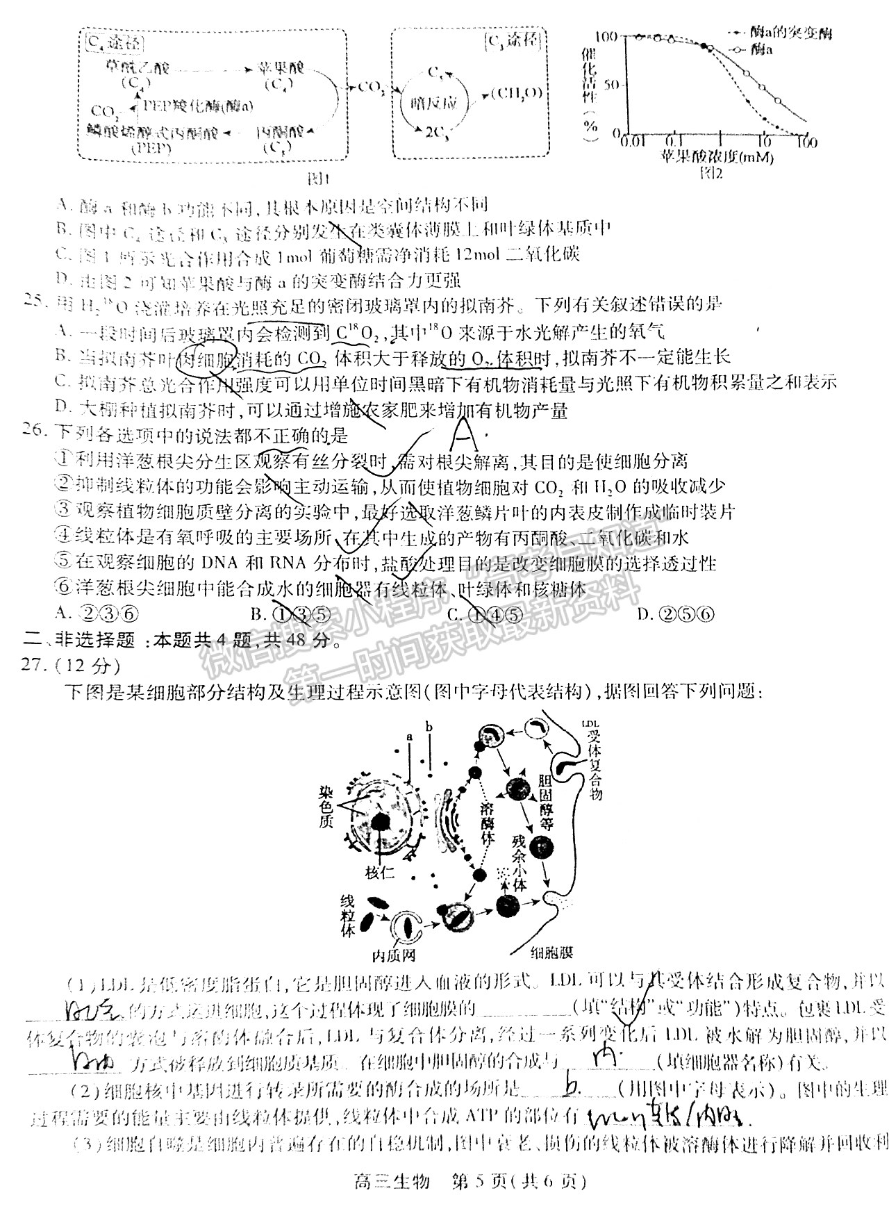 2022安徽鼎尖教育高三10月聯(lián)考生物試卷及答案