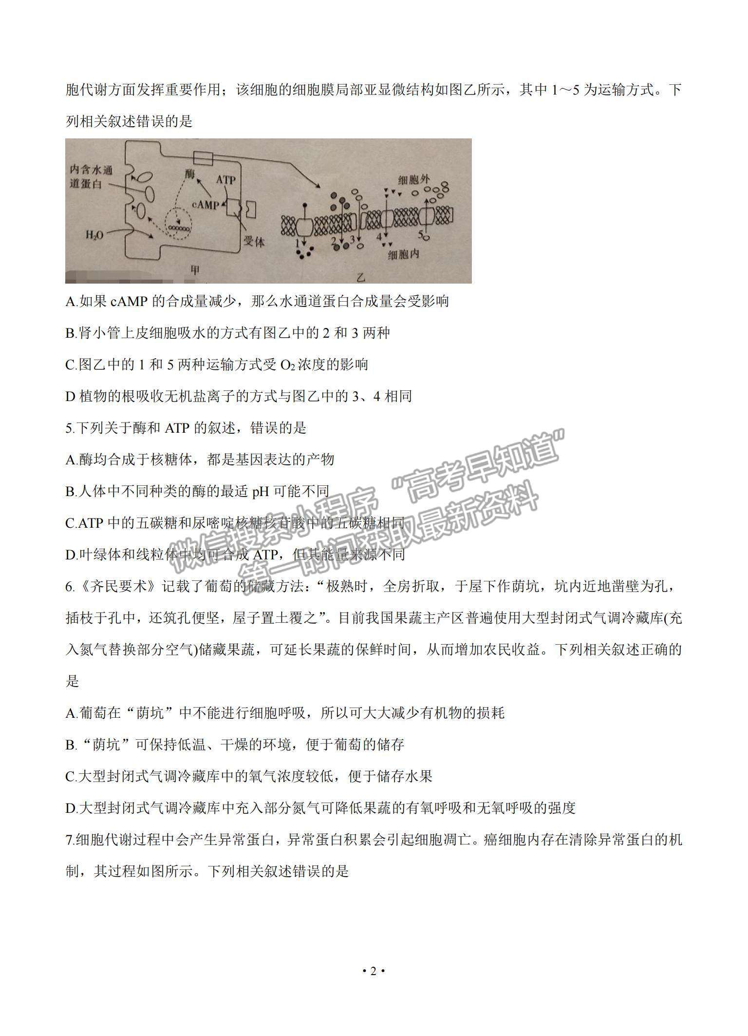 2022重慶市“好教育聯(lián)盟”高三上學(xué)期9月入學(xué)診斷考試生物試題及參考答案