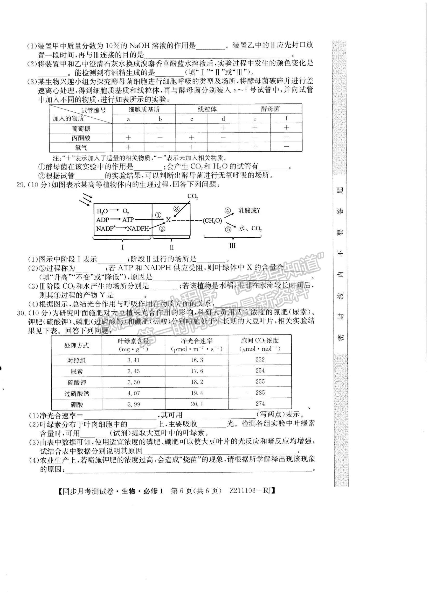 2021甘肅省臨洮縣文峰中學(xué)高一下學(xué)期第二次月考生物試題及參考答案