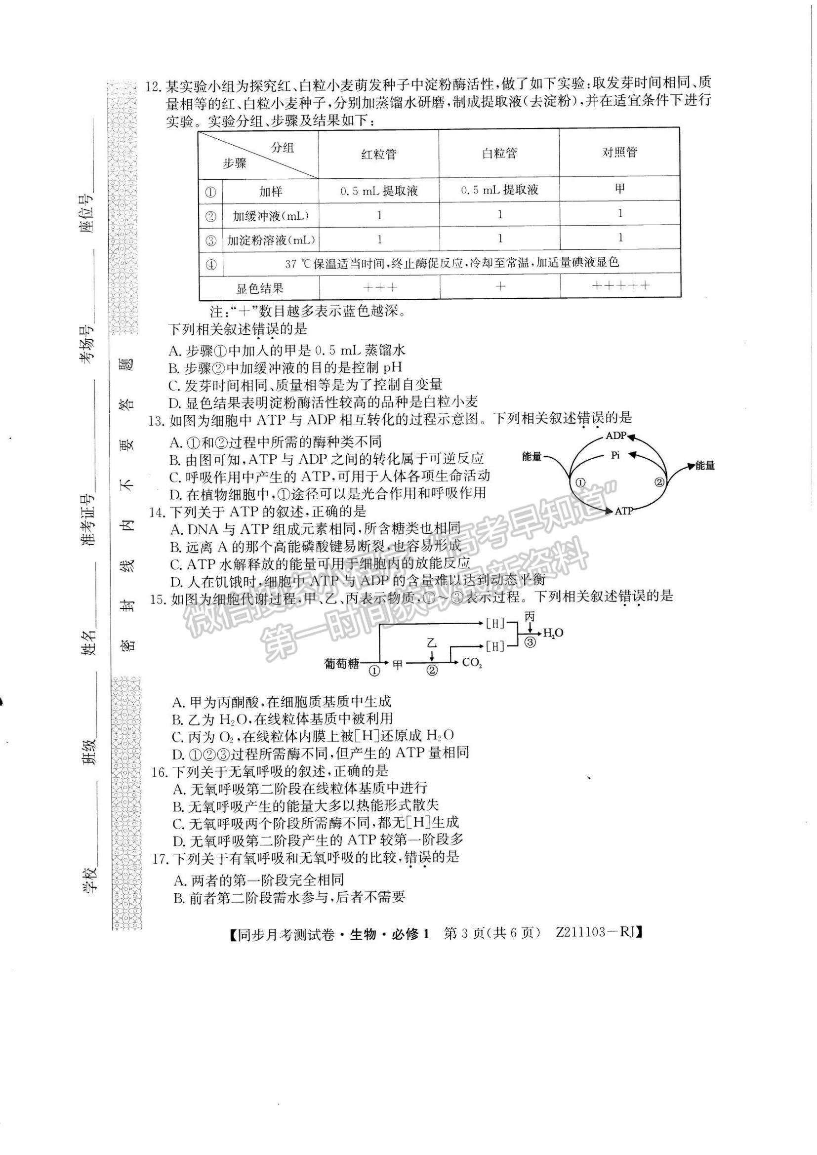 2021甘肅省臨洮縣文峰中學(xué)高一下學(xué)期第二次月考生物試題及參考答案