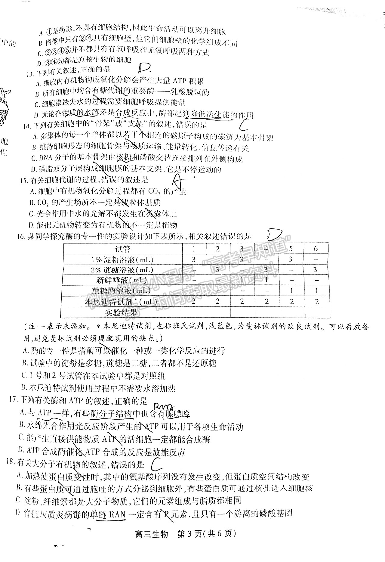 2022安徽鼎尖教育高三10月聯(lián)考生物試卷及答案