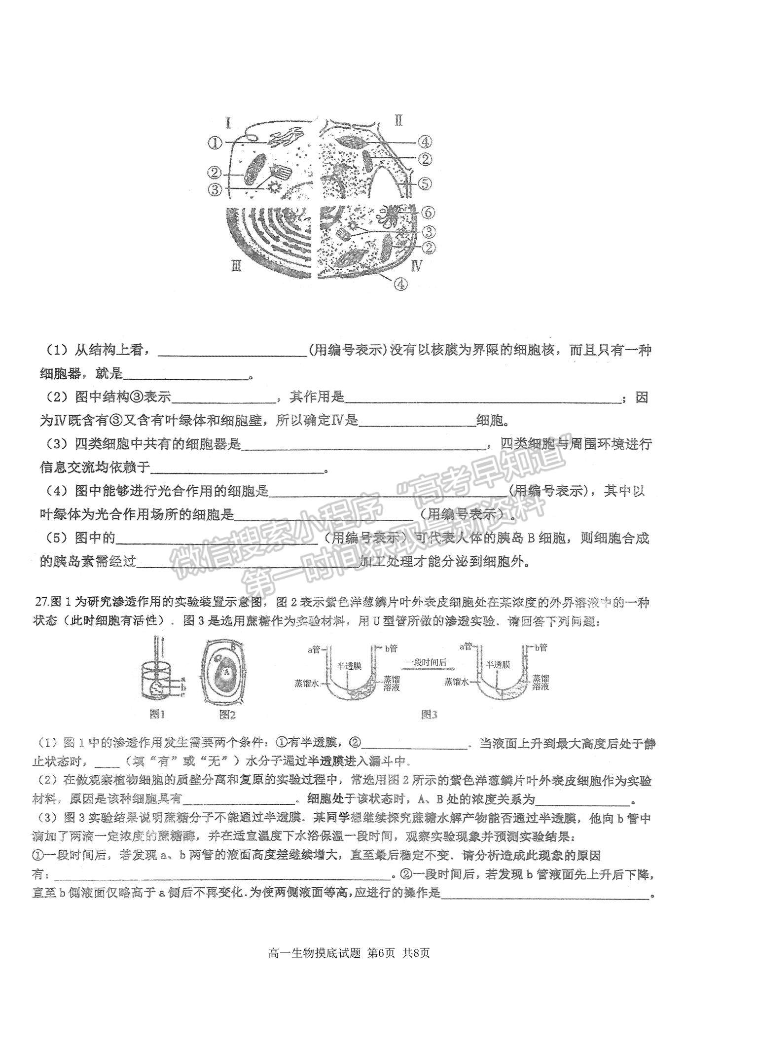 2021山西省運(yùn)城市新康國際實驗學(xué)校高一下學(xué)期開學(xué)摸底考試生物試卷及參考答案