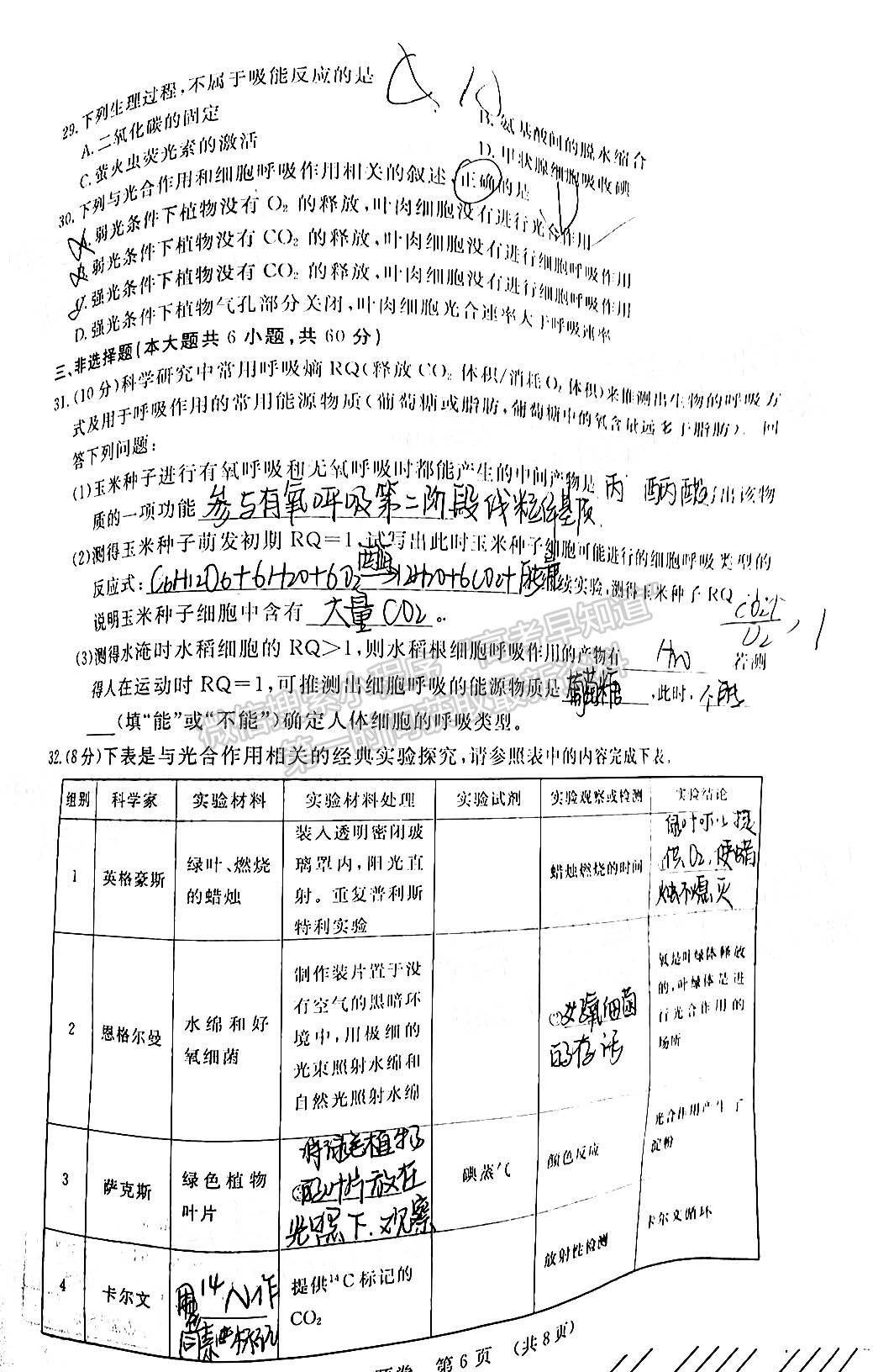 2022江西恩博/贛撫吉六校10月聯(lián)考生物試卷及答案