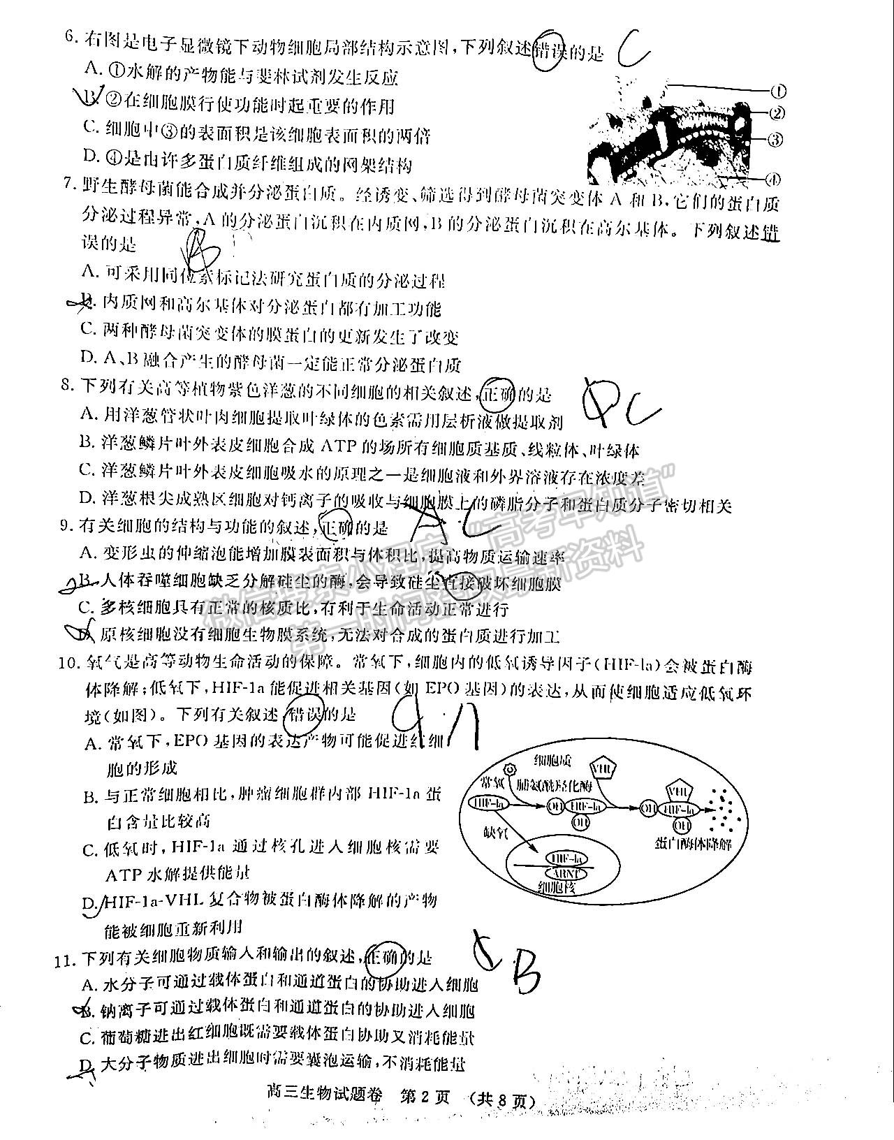 2022江西恩博/贛撫吉六校10月聯(lián)考生物試卷及答案