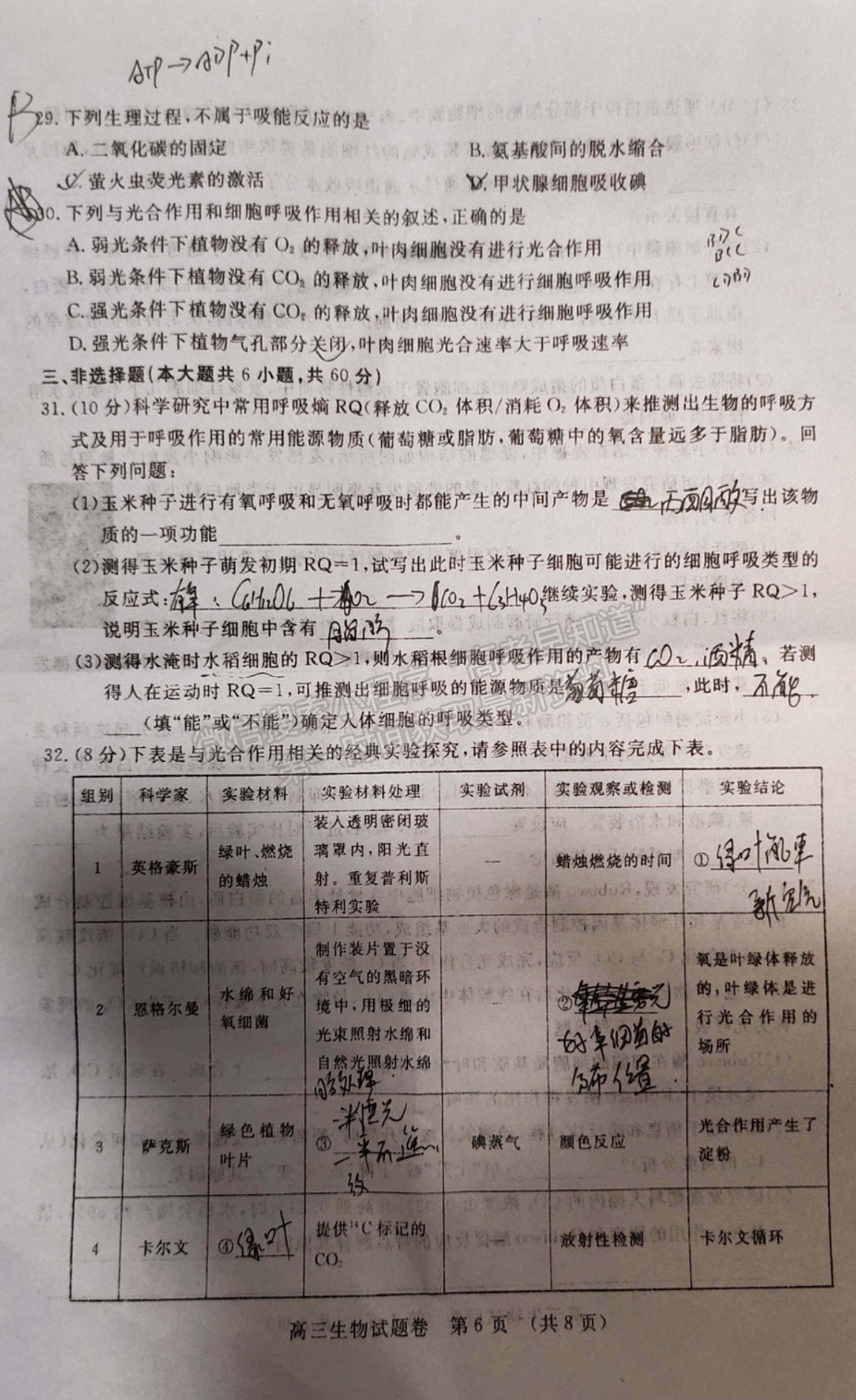 2022江西省高三上學(xué)期階段性教學(xué)質(zhì)量監(jiān)測(cè)卷生物試卷及答案