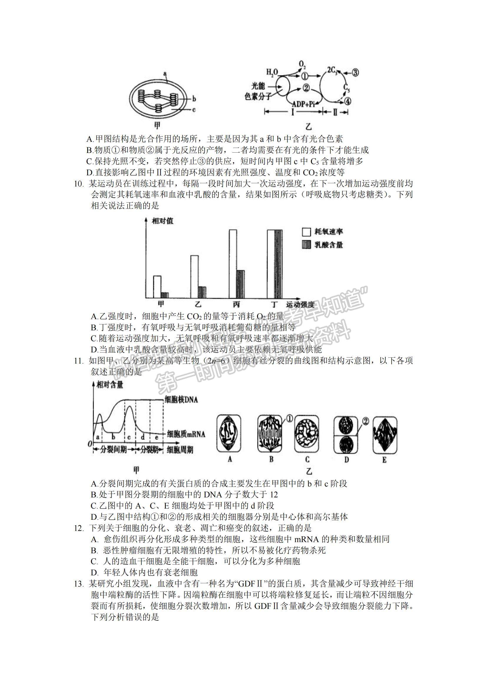 2021江西省南昌市新建一中高二下學(xué)期開(kāi)學(xué)考試生物試題及參考答案