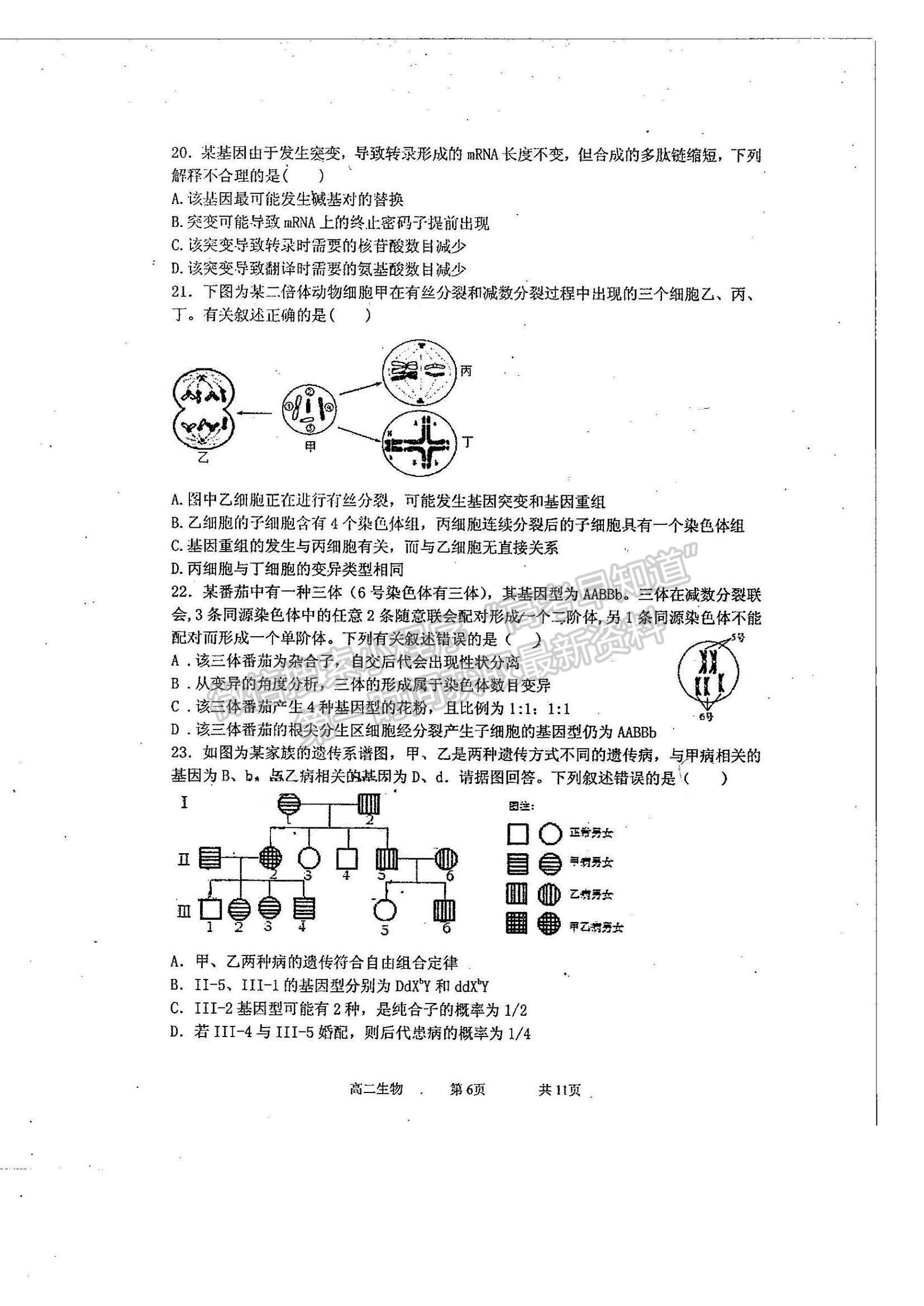 2021河北省石家莊二中實驗學(xué)校高二上學(xué)期開學(xué)學(xué)情調(diào)研考試生物試題及參考答案