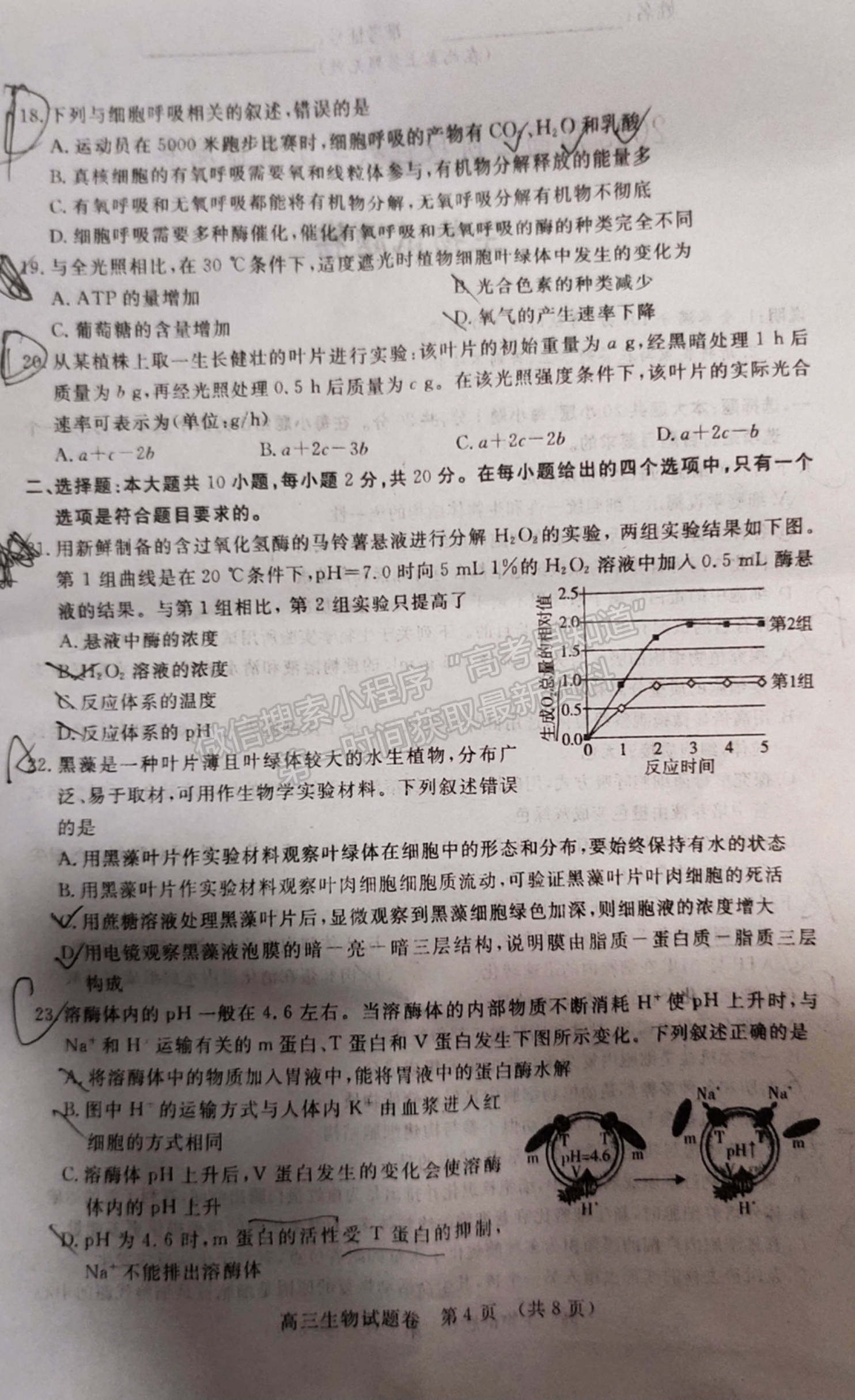 2022江西省高三上學(xué)期階段性教學(xué)質(zhì)量監(jiān)測卷生物試卷及答案